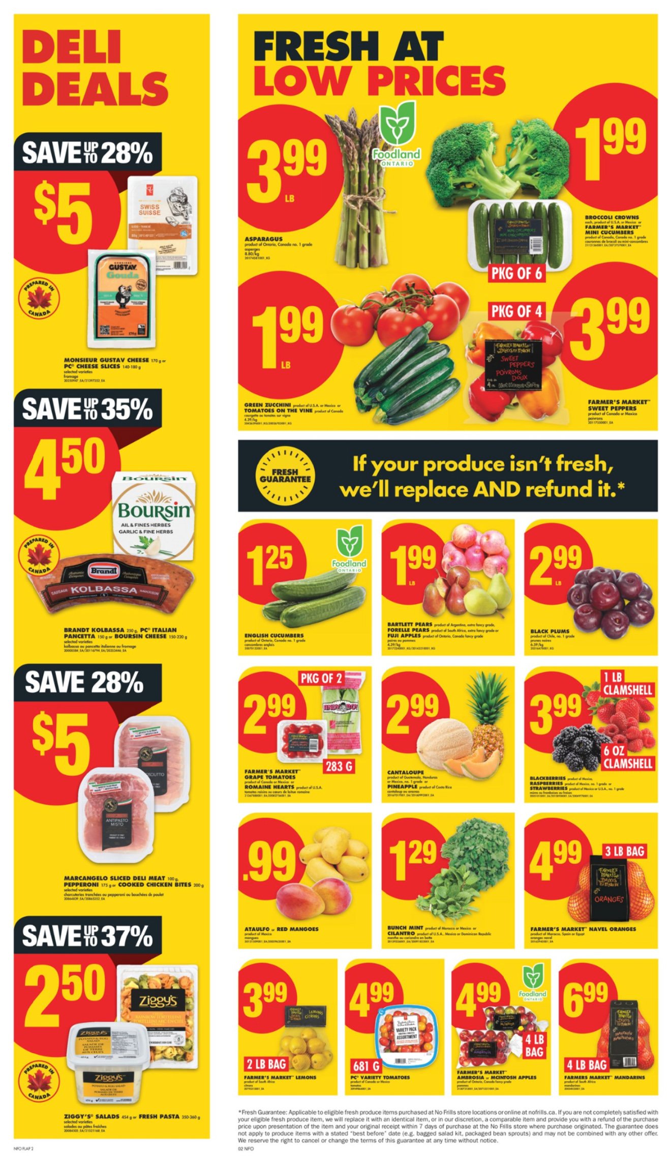 flyer-image