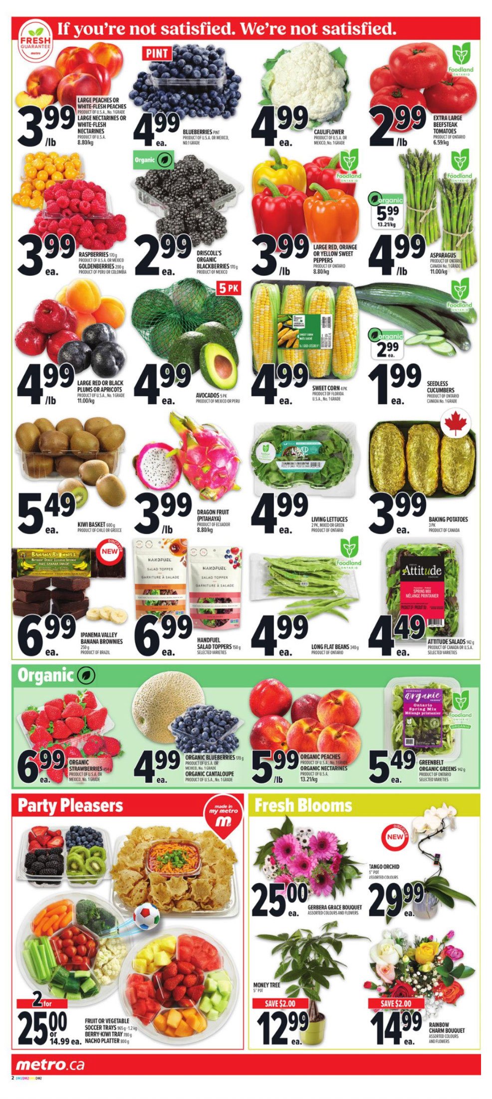 flyer-image