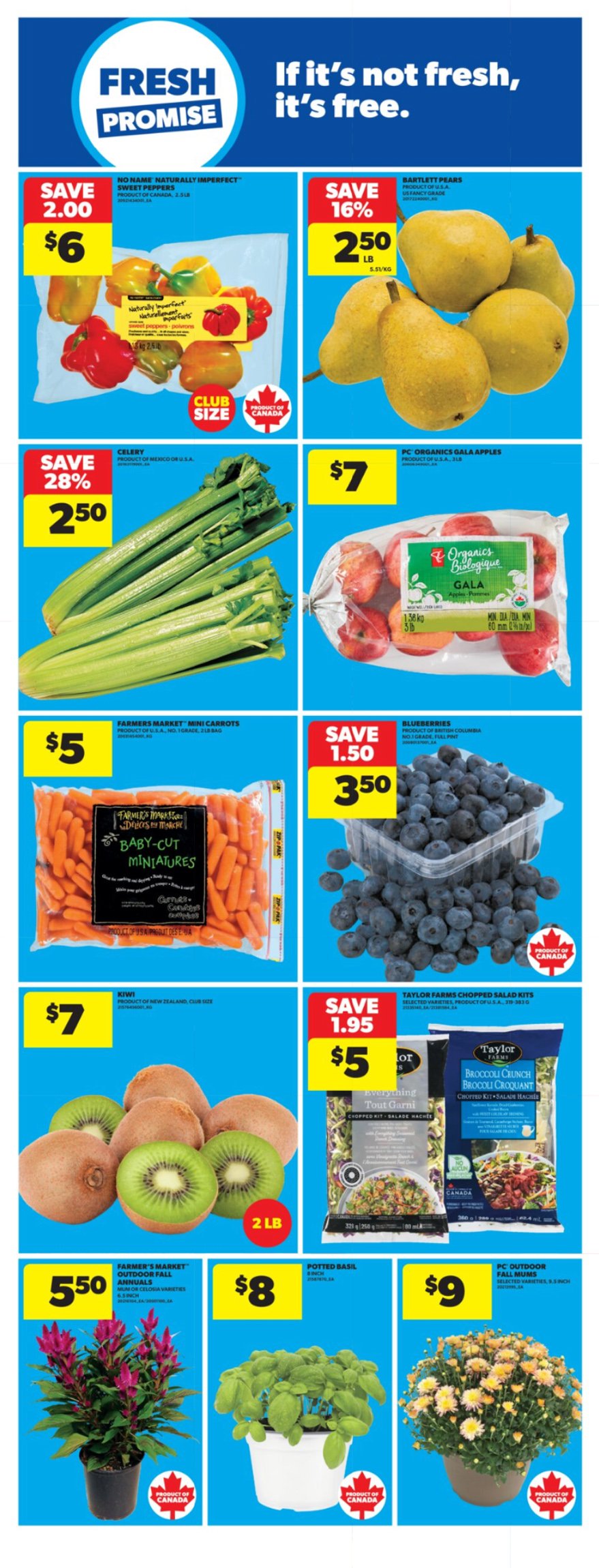 flyer-image
