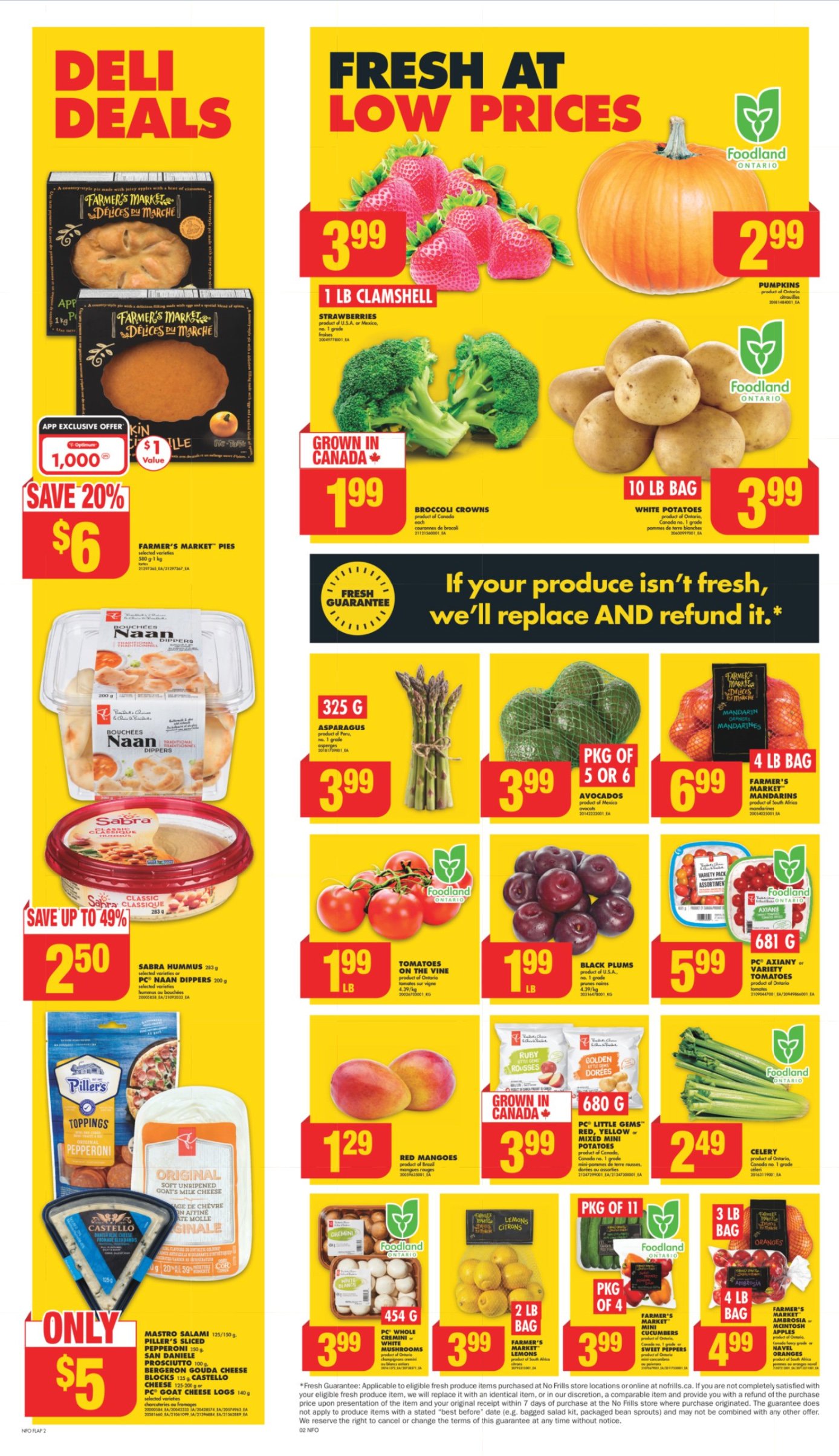 flyer-image