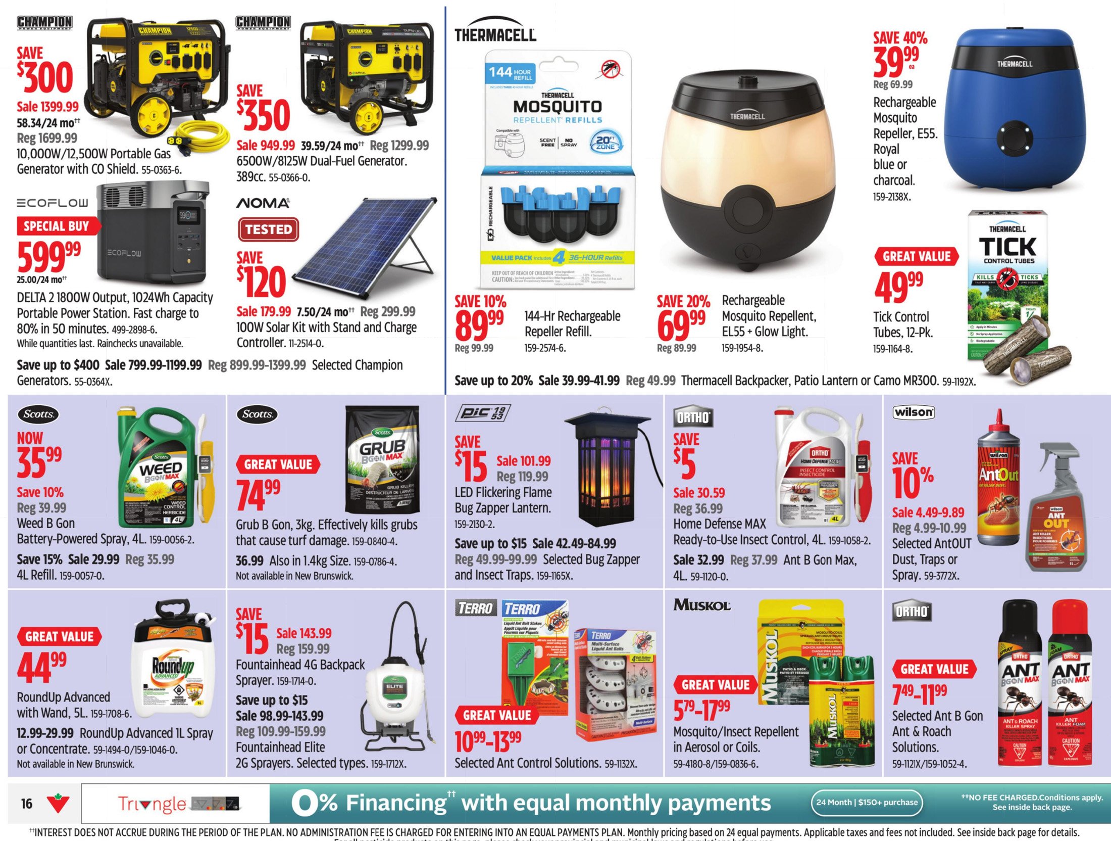 flyer-image