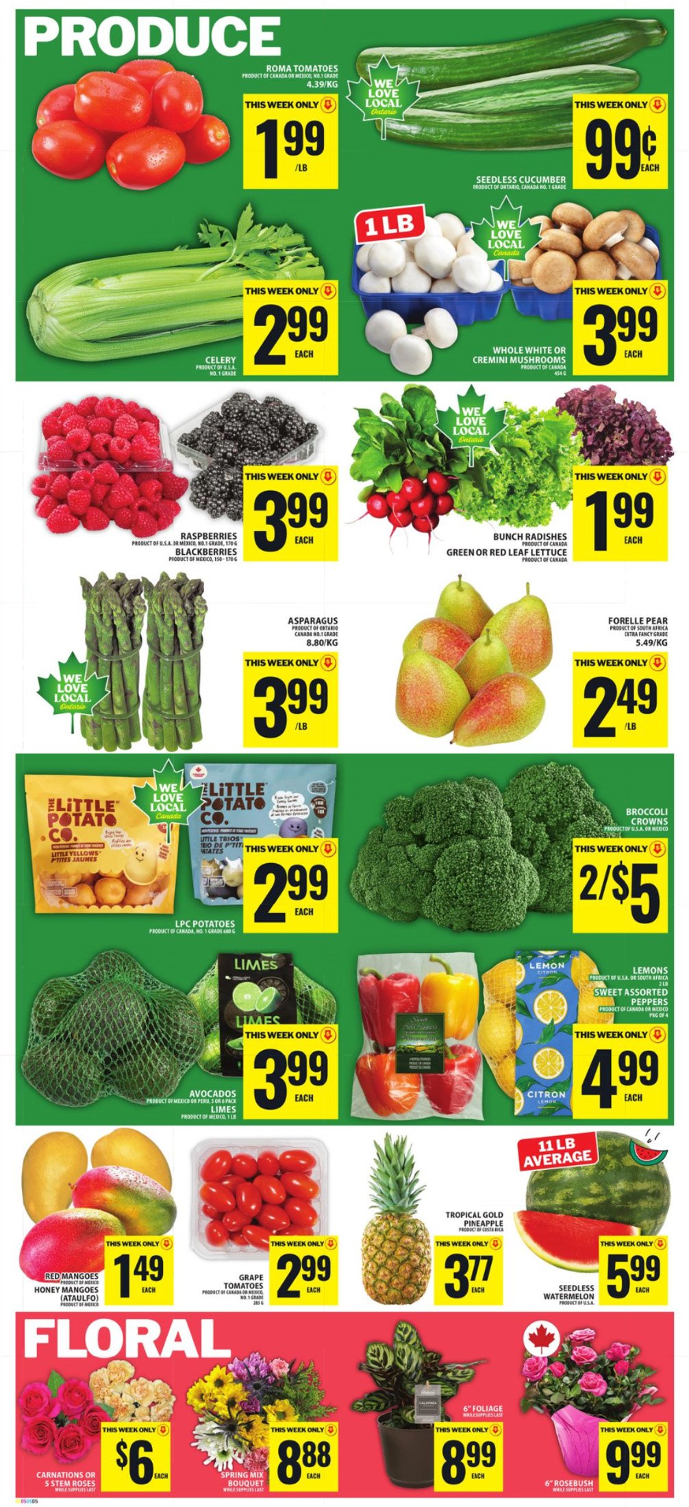 flyer-image