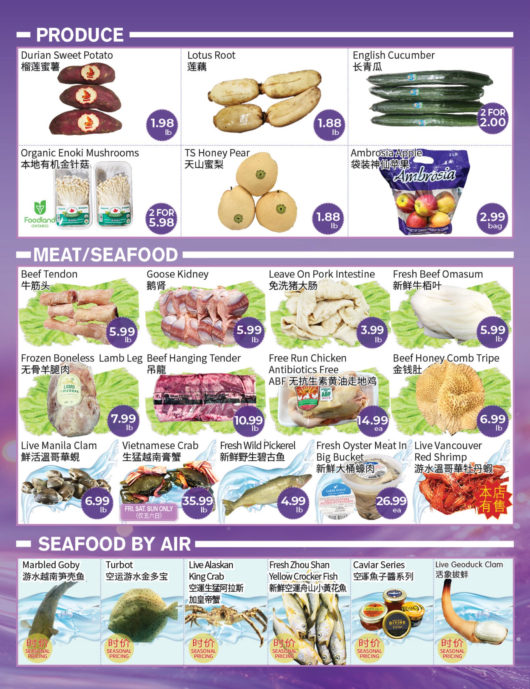 flyer-image