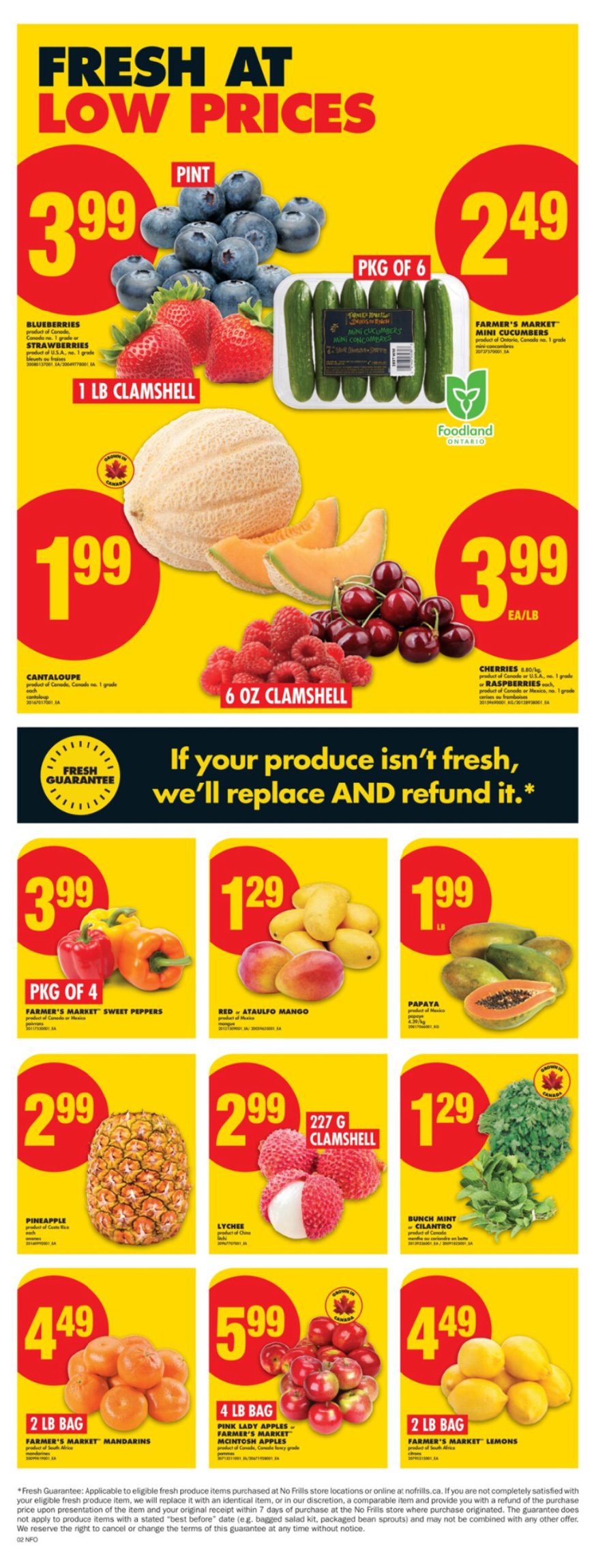 flyer-image