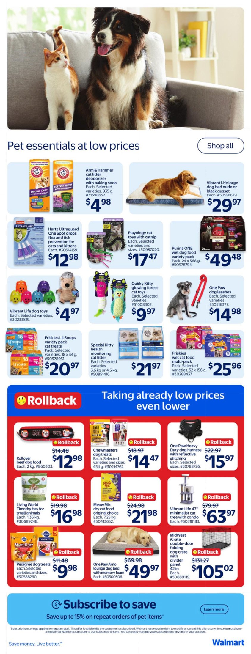 flyer-image