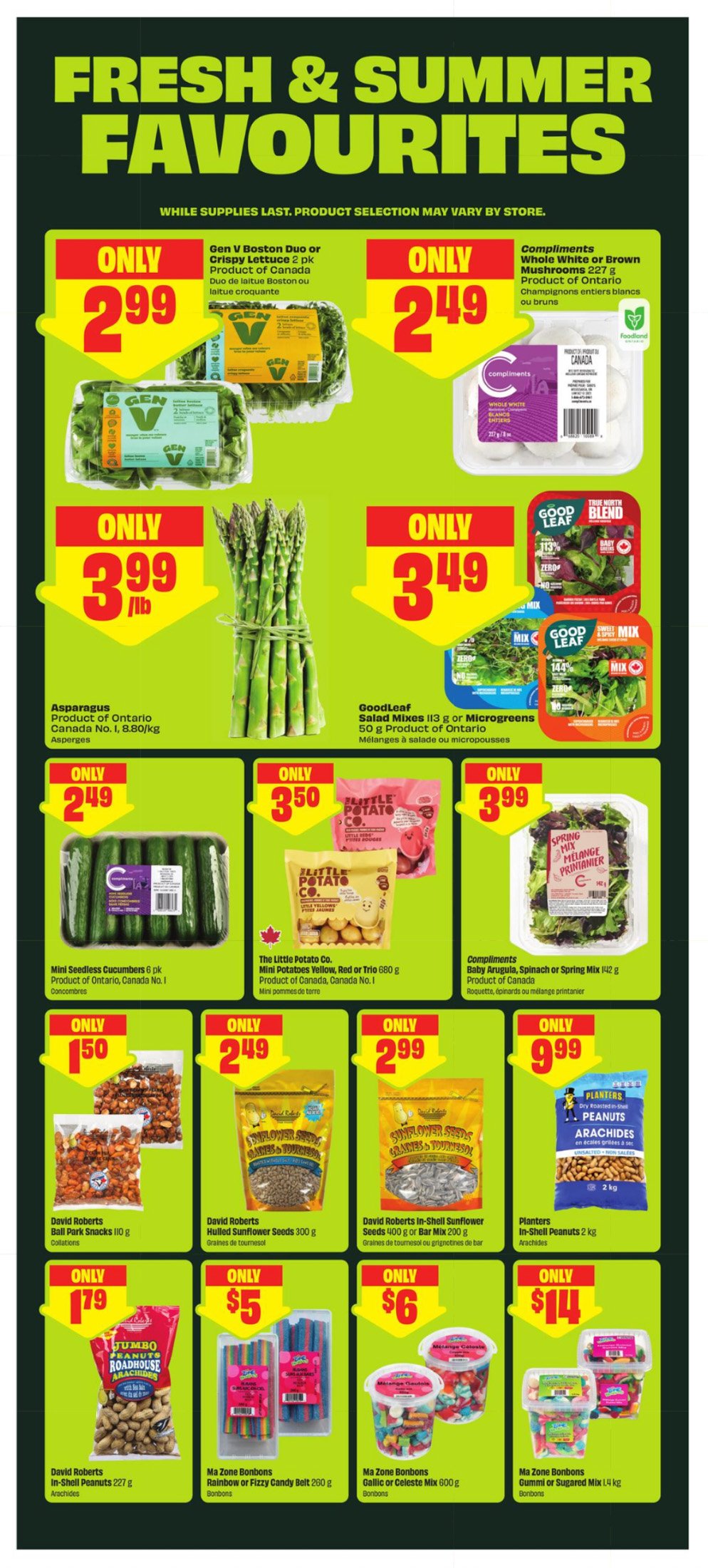 flyer-image