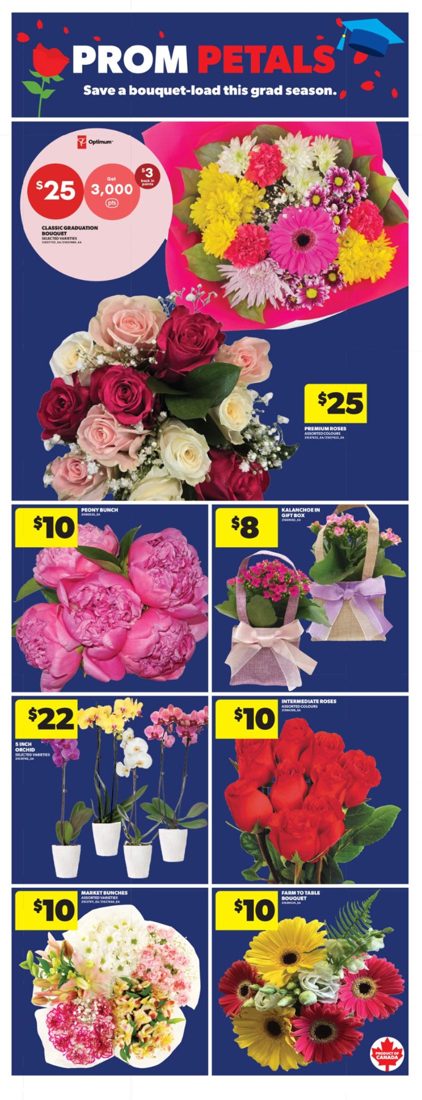 flyer-image