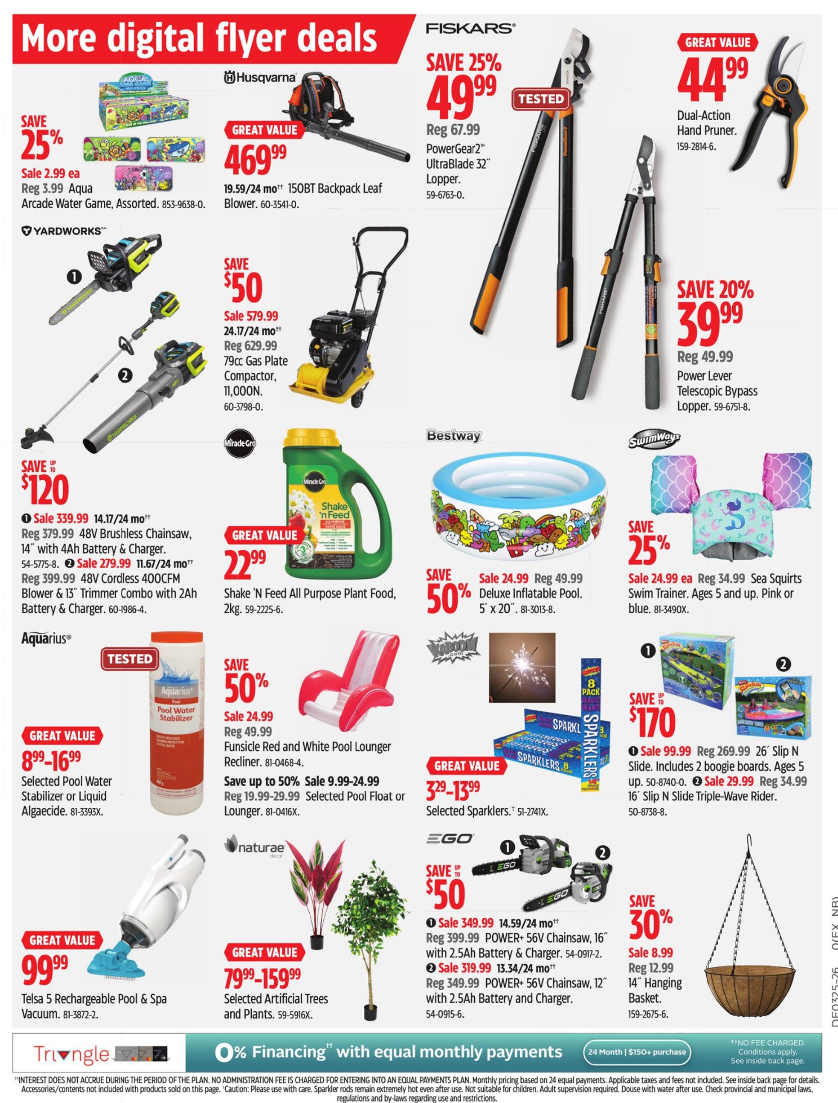flyer-image