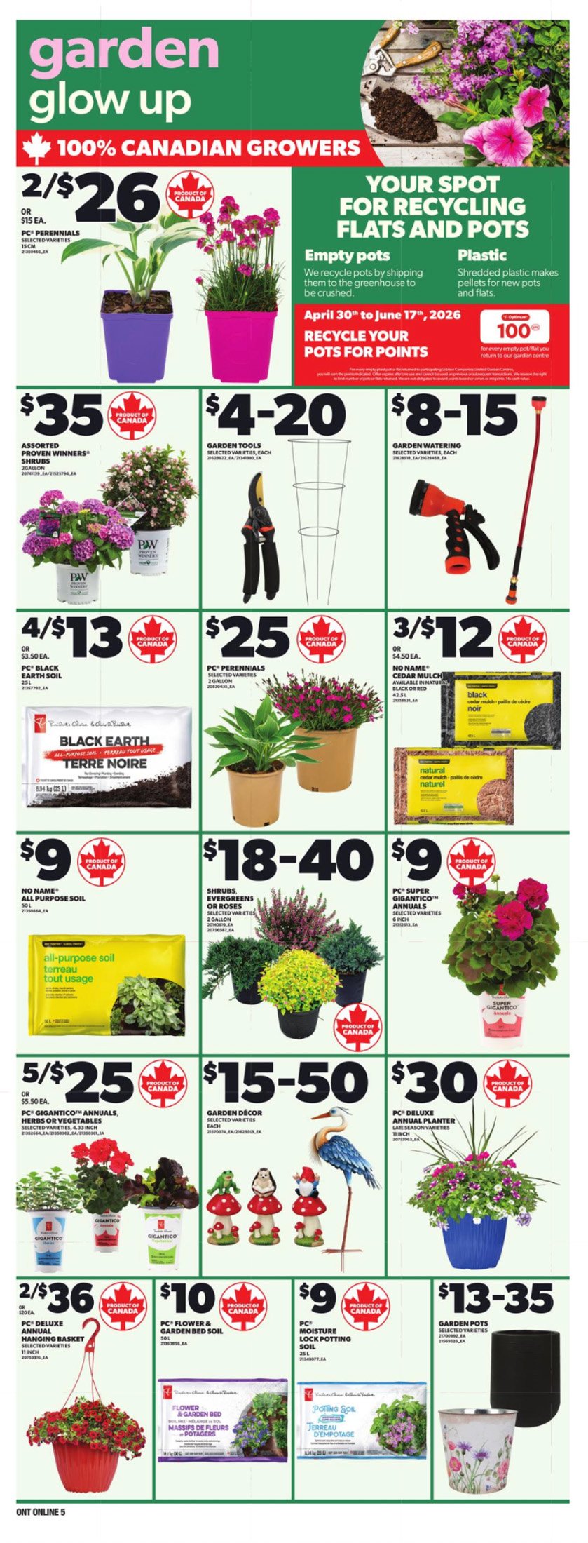 flyer-image