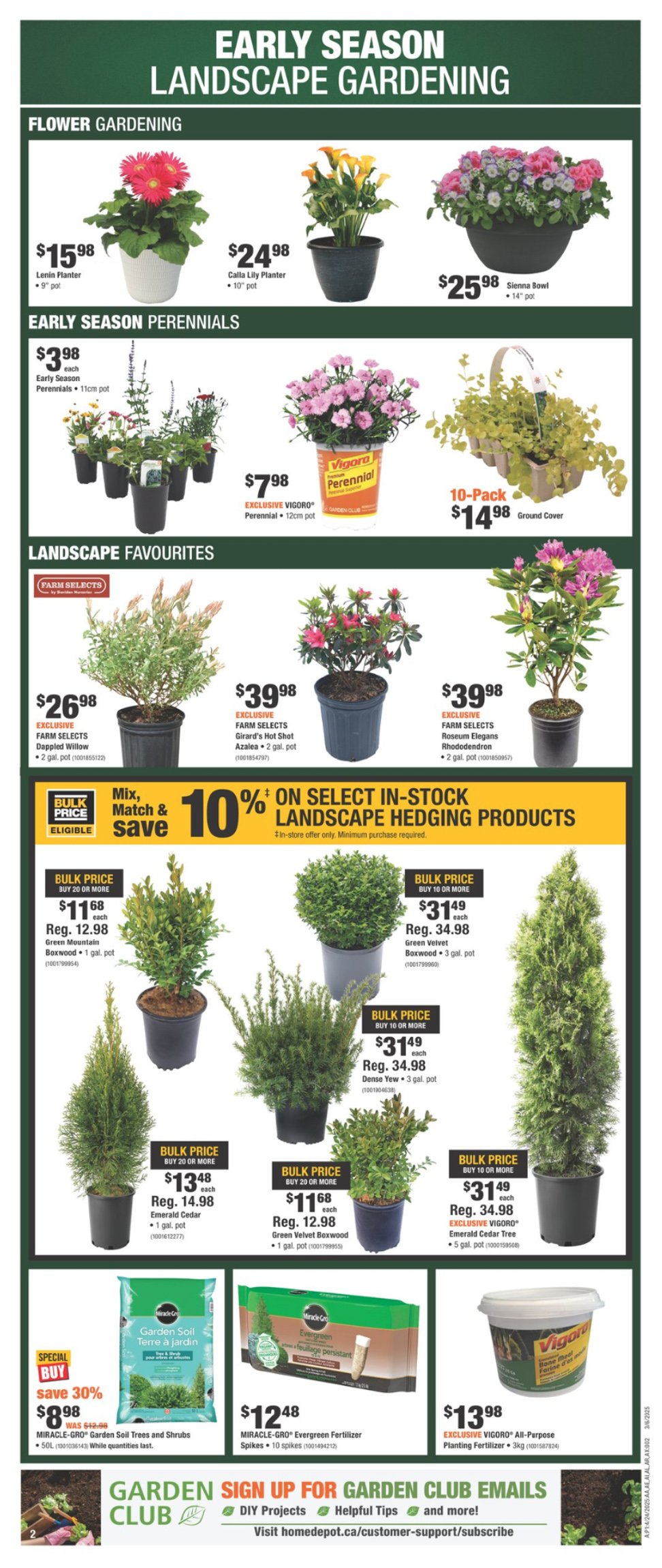 flyer-image
