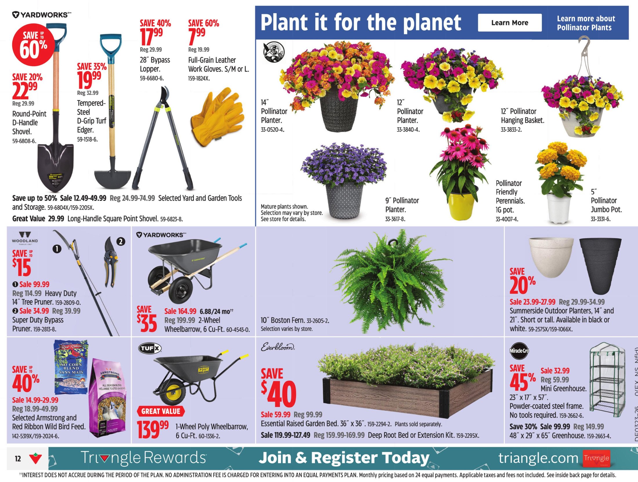 flyer-image