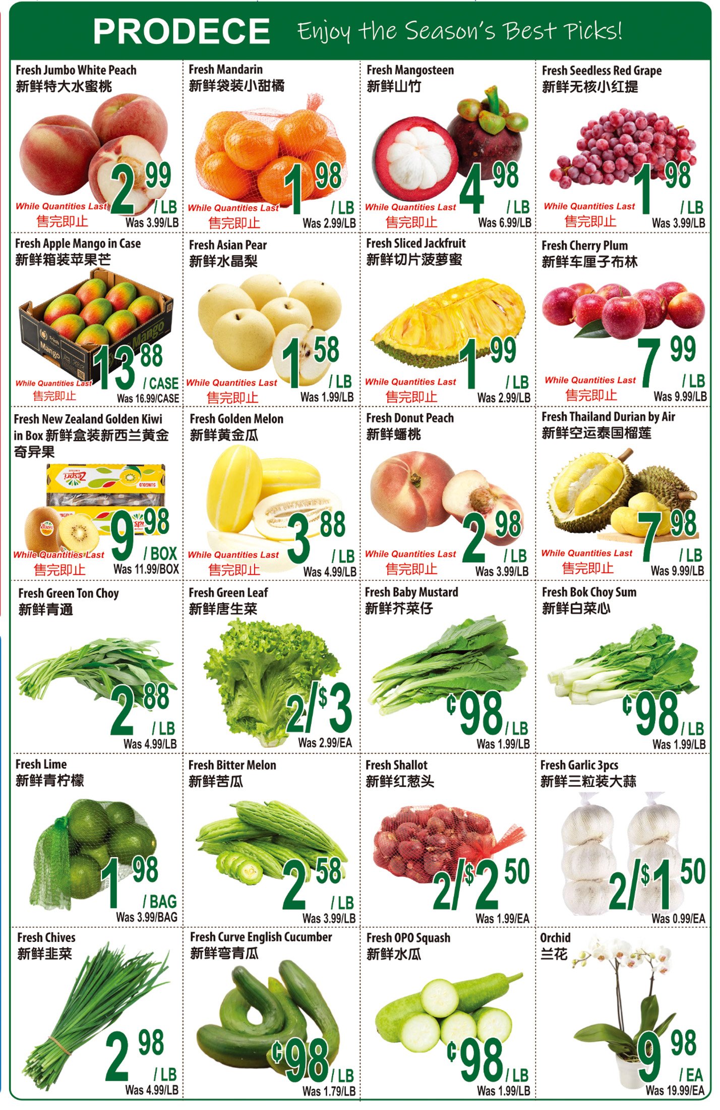 flyer-image