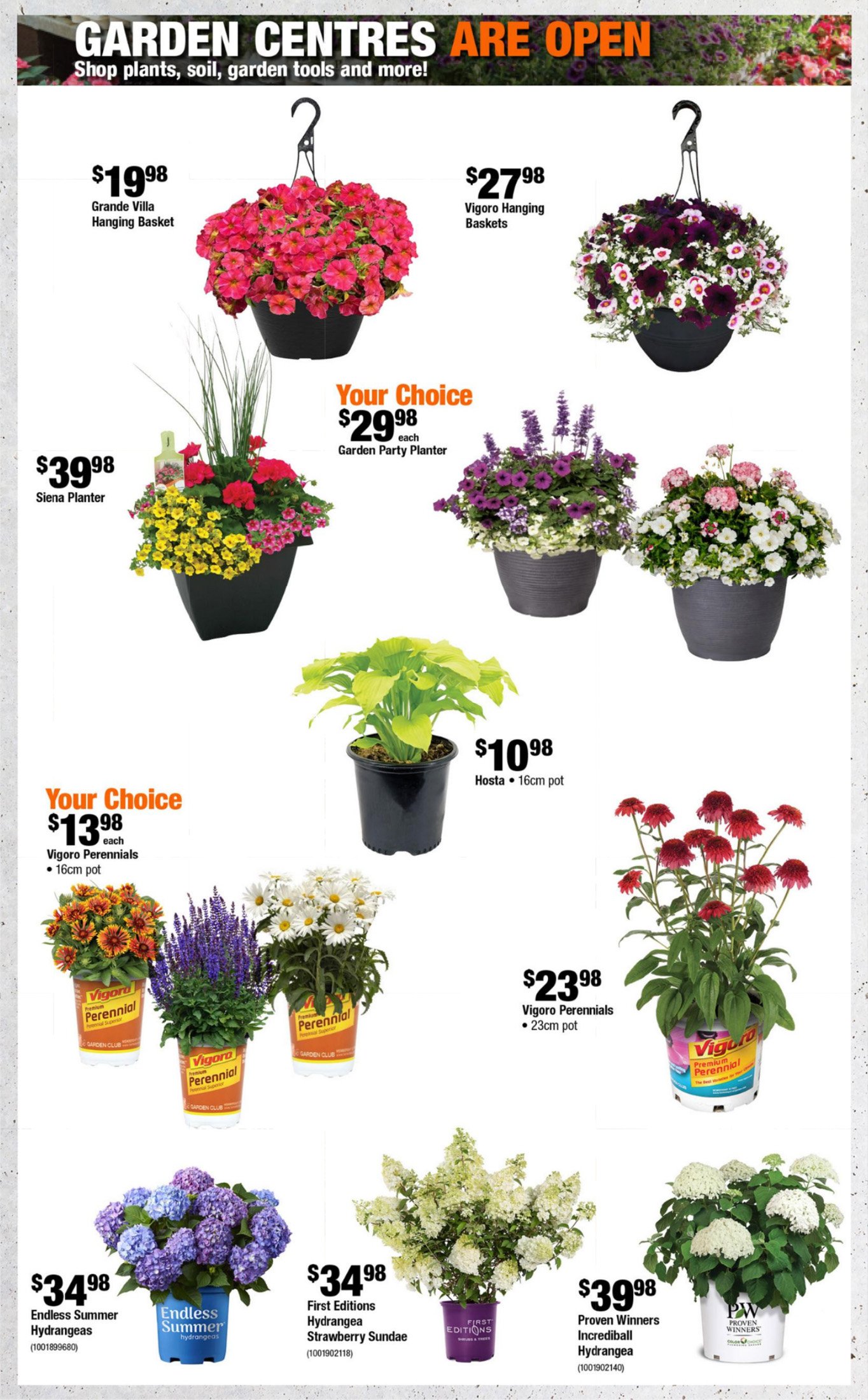 flyer-image