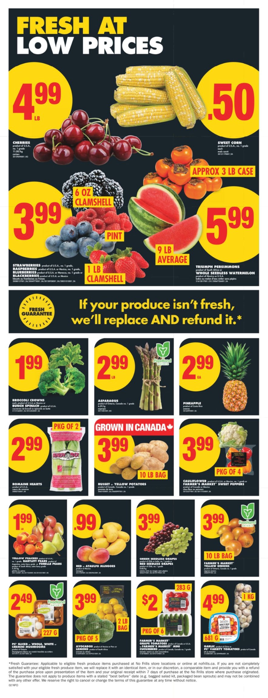 flyer-image