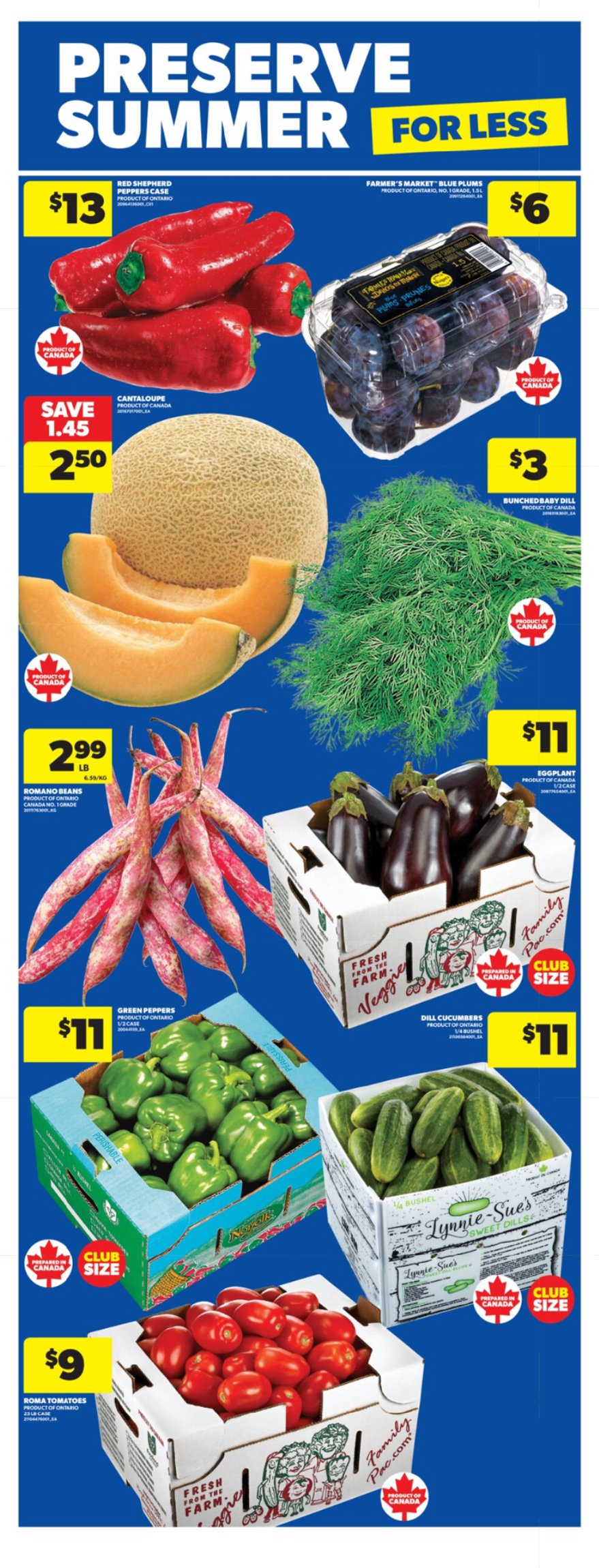 flyer-image