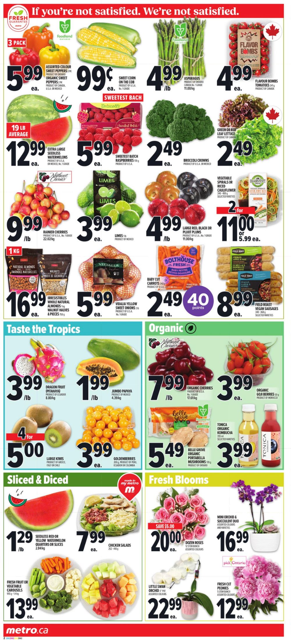 flyer-image