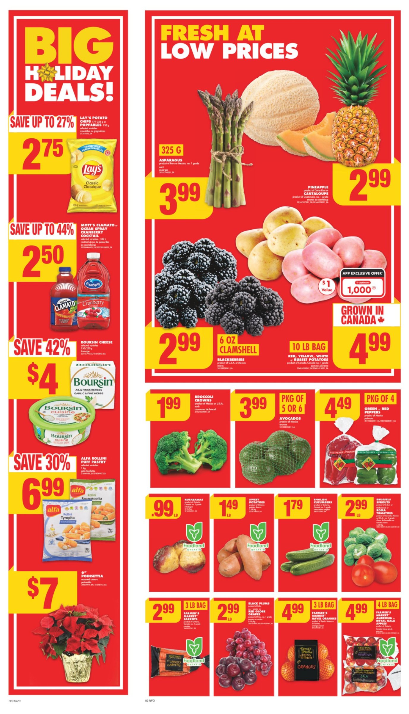 flyer-image