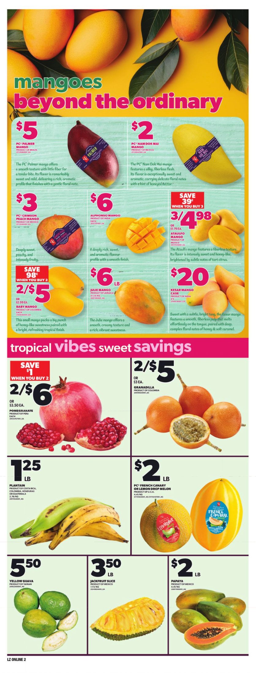 flyer-image