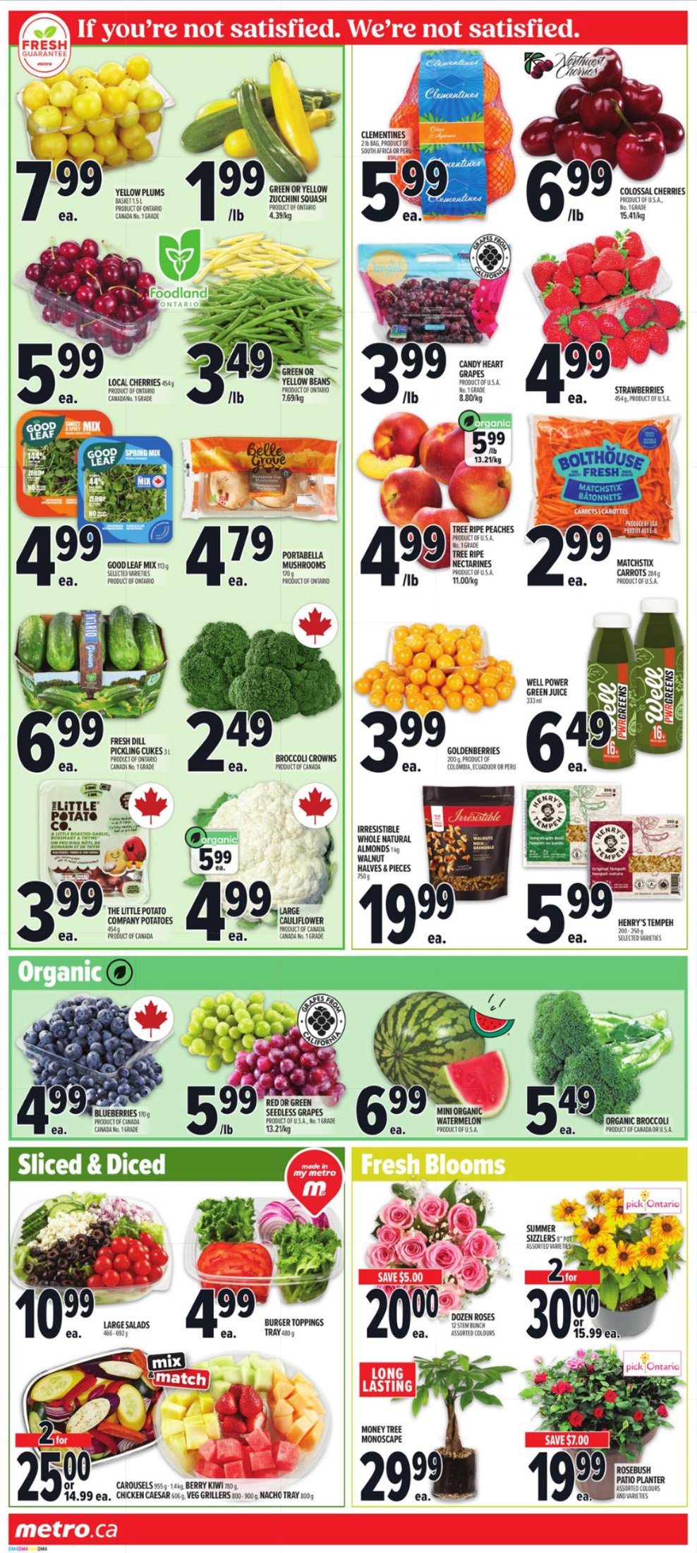 flyer-image