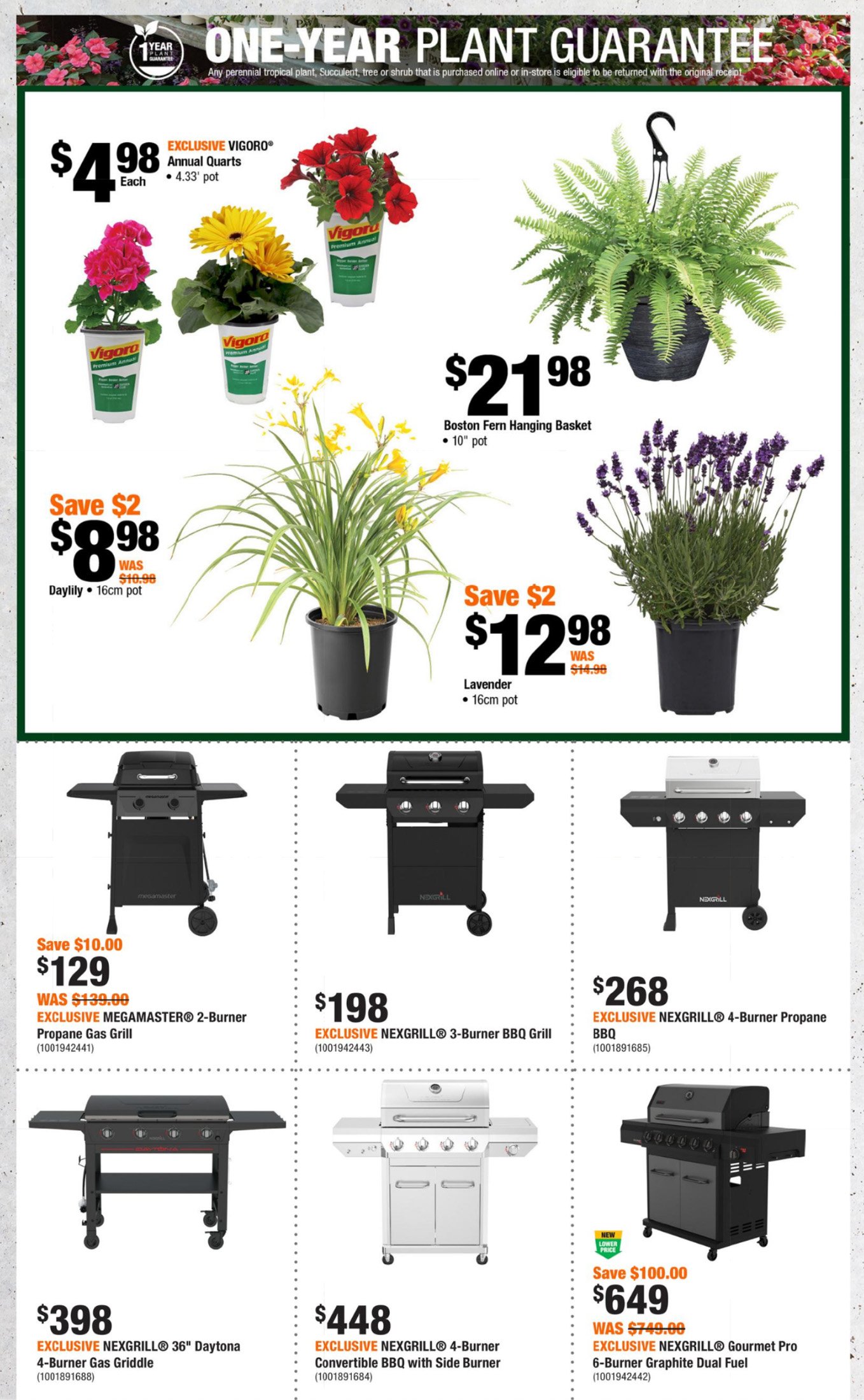 flyer-image