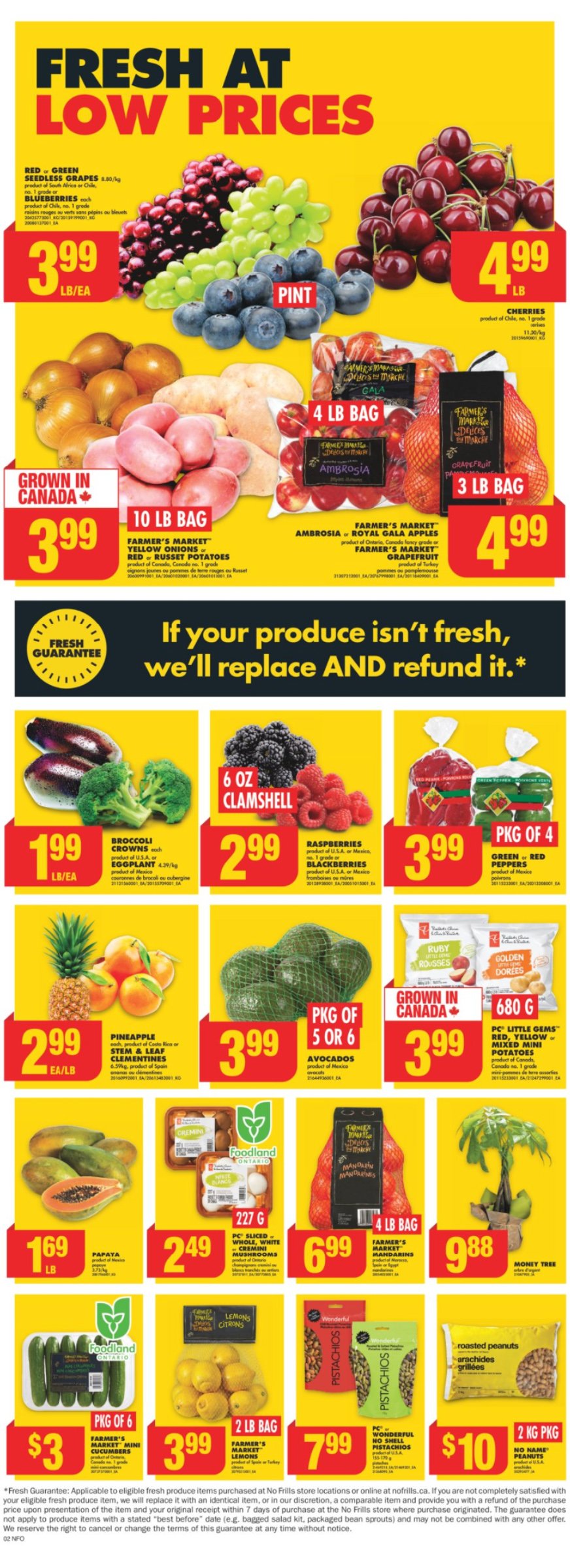 flyer-image