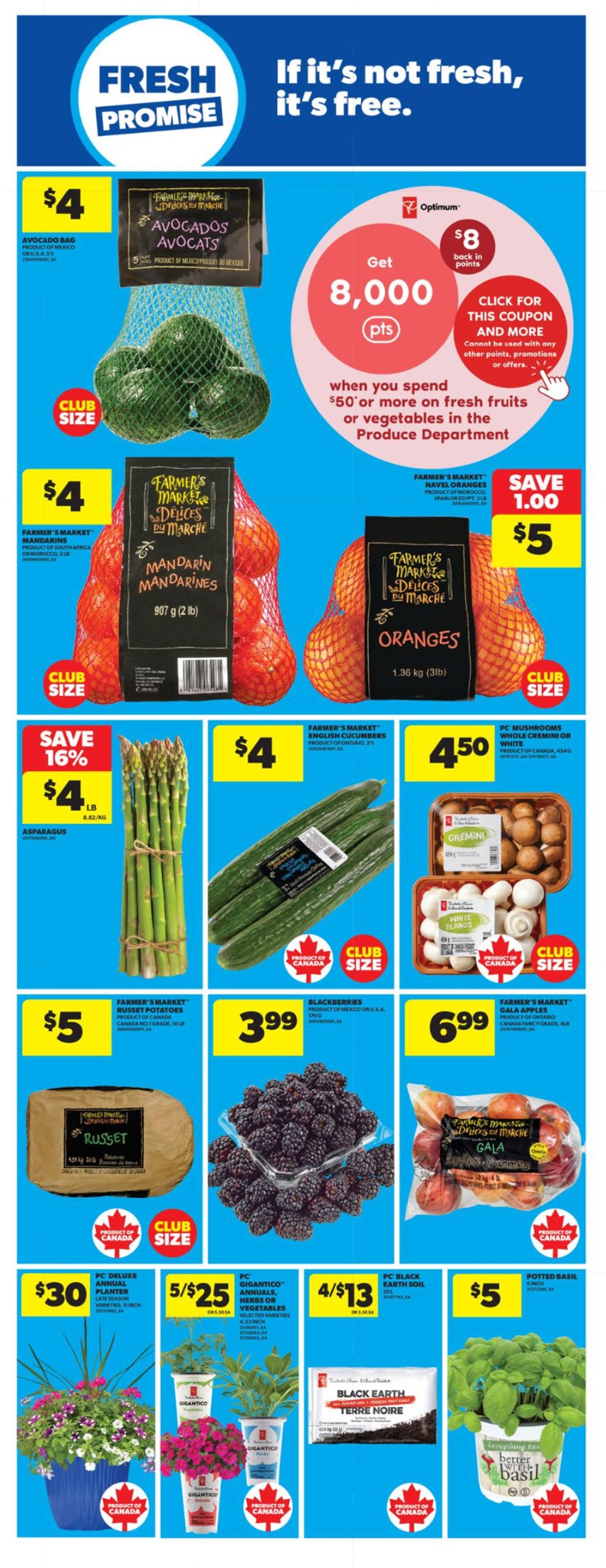 flyer-image