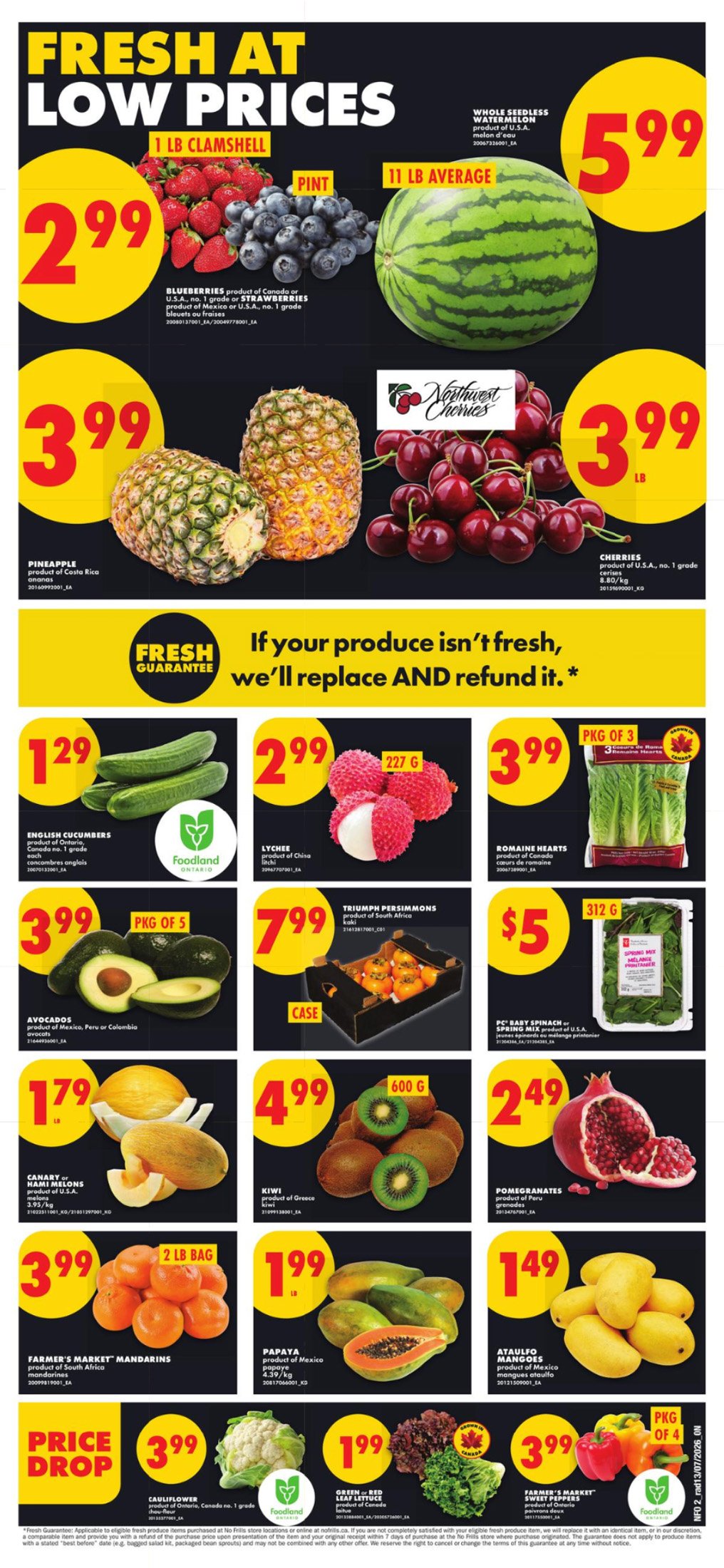 flyer-image