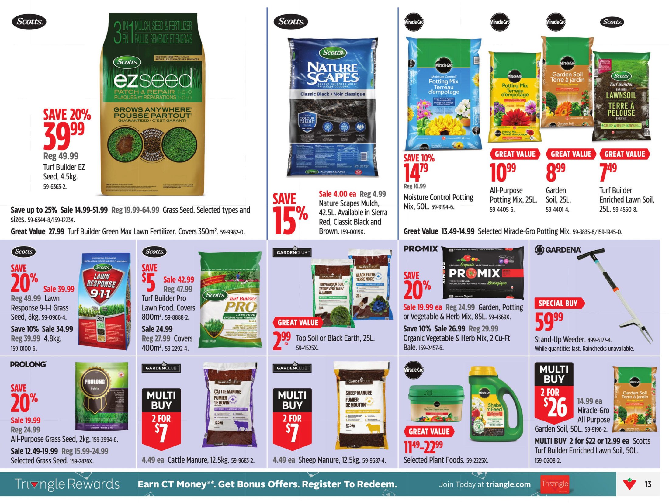 flyer-image