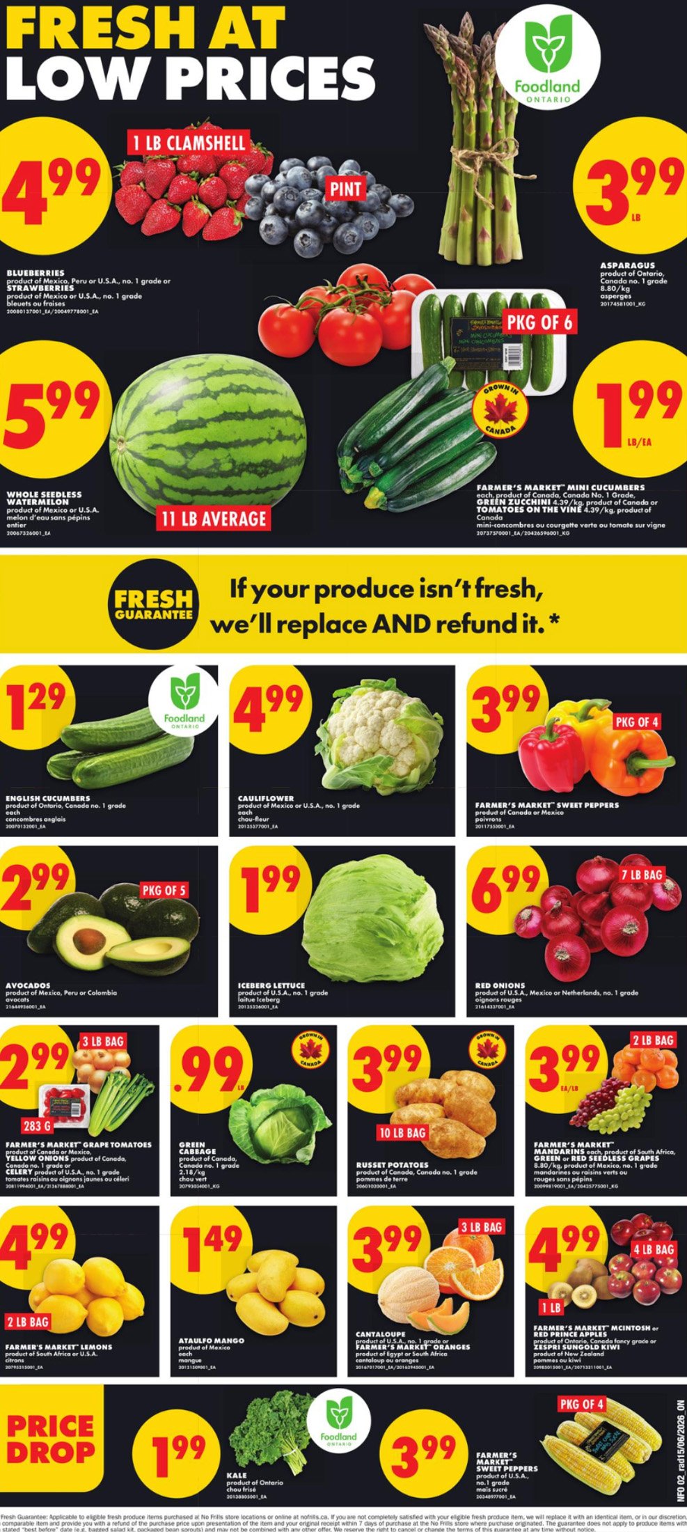 flyer-image