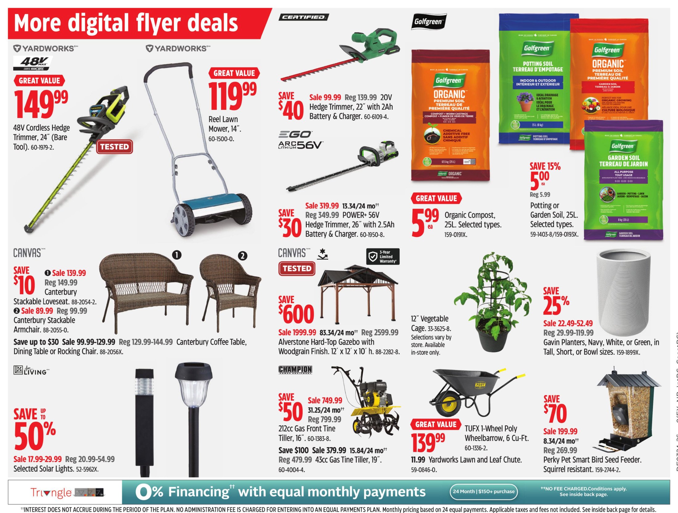 flyer-image