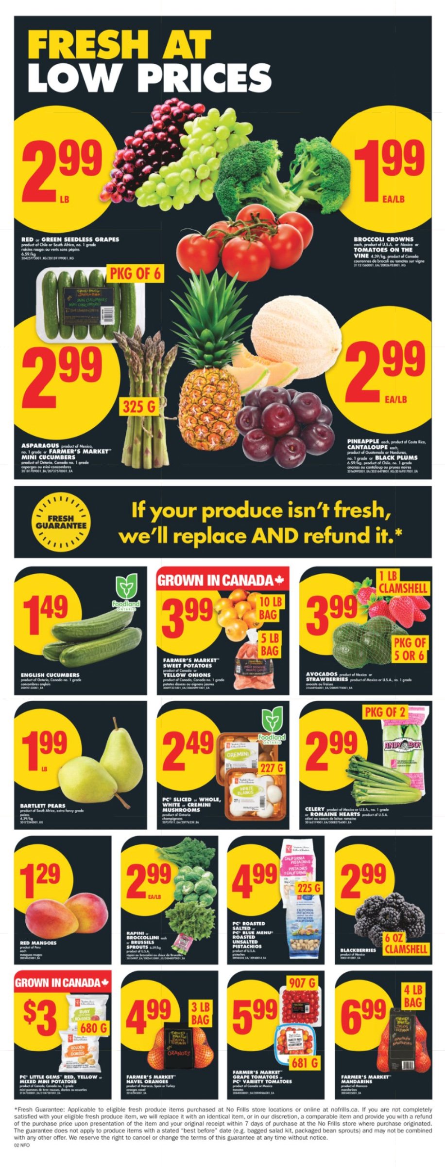 flyer-image