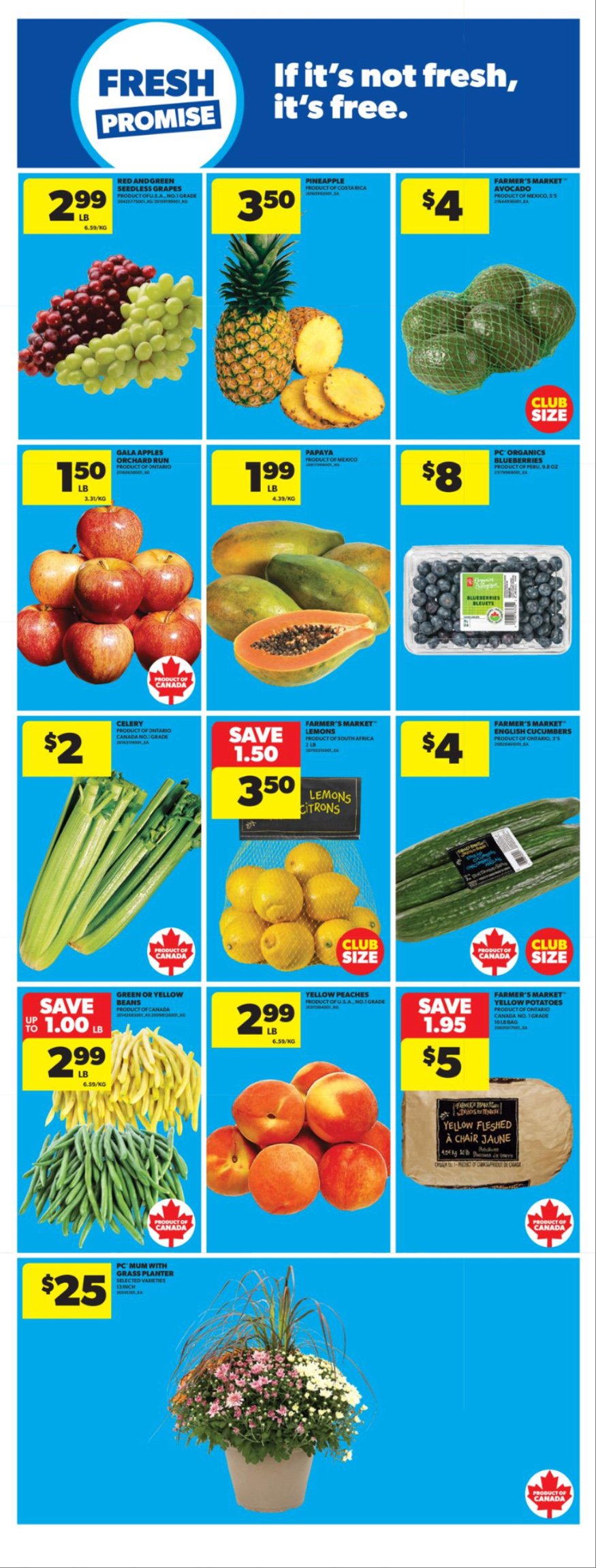 flyer-image
