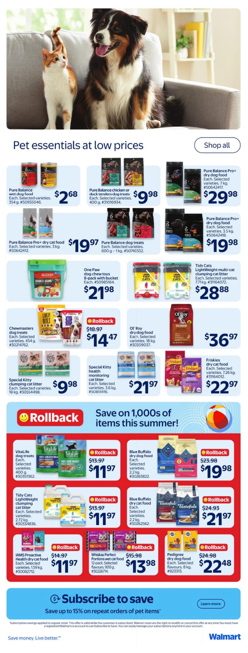 flyer-image