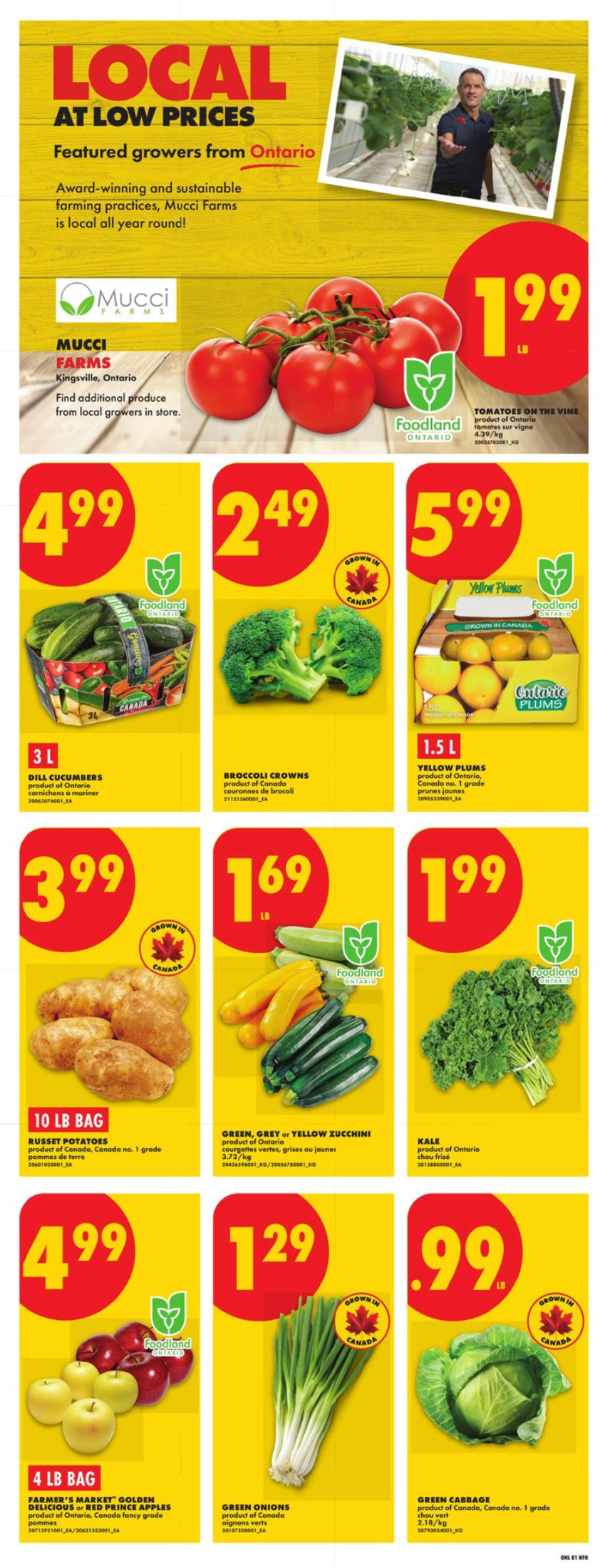 flyer-image