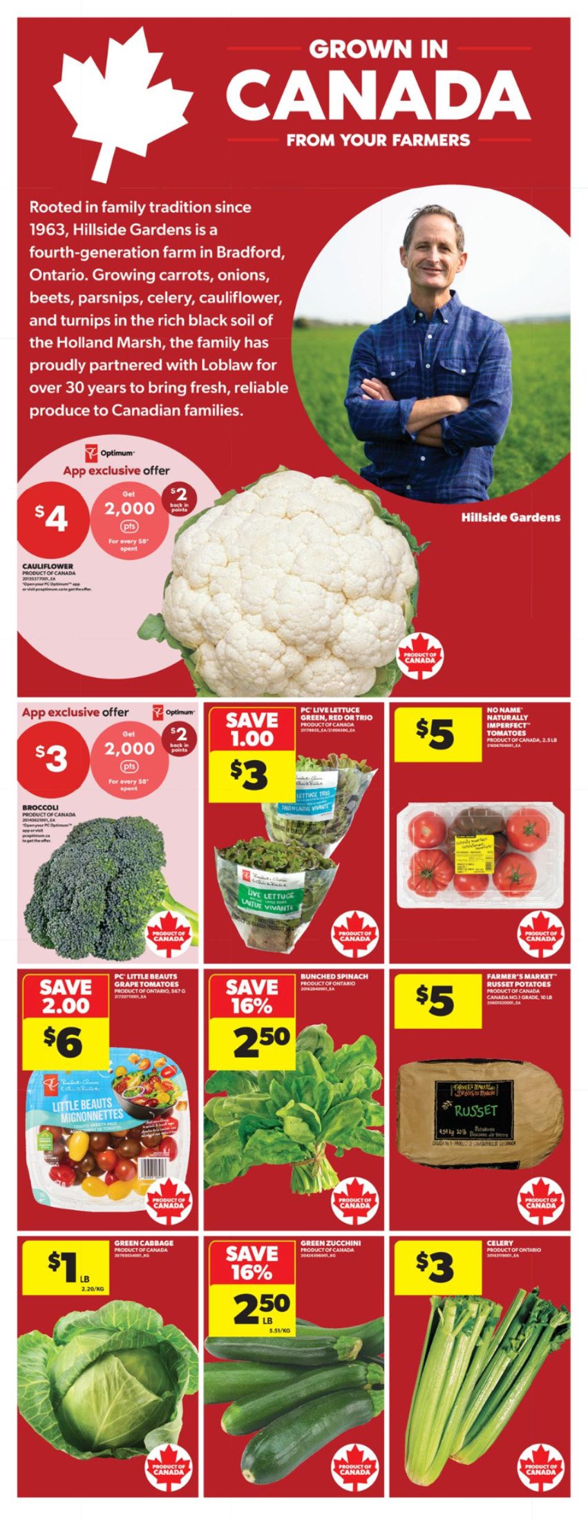 flyer-image