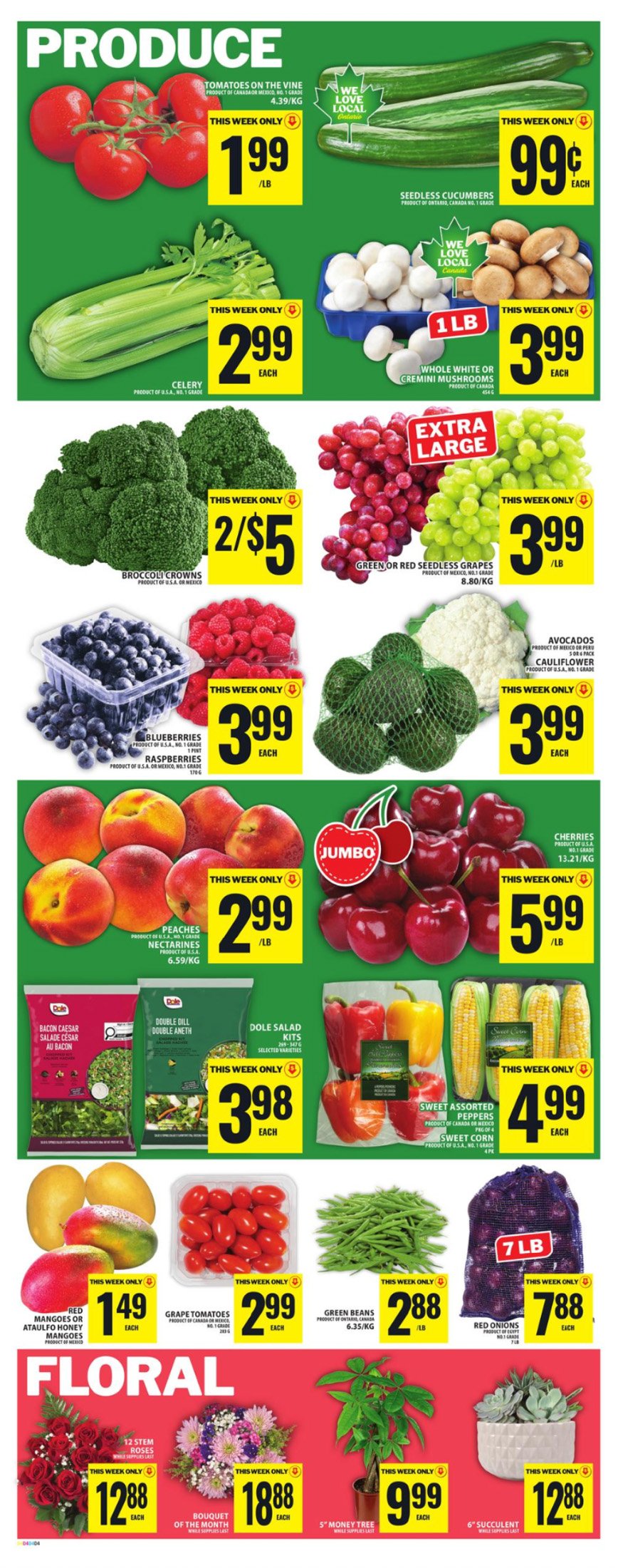 flyer-image