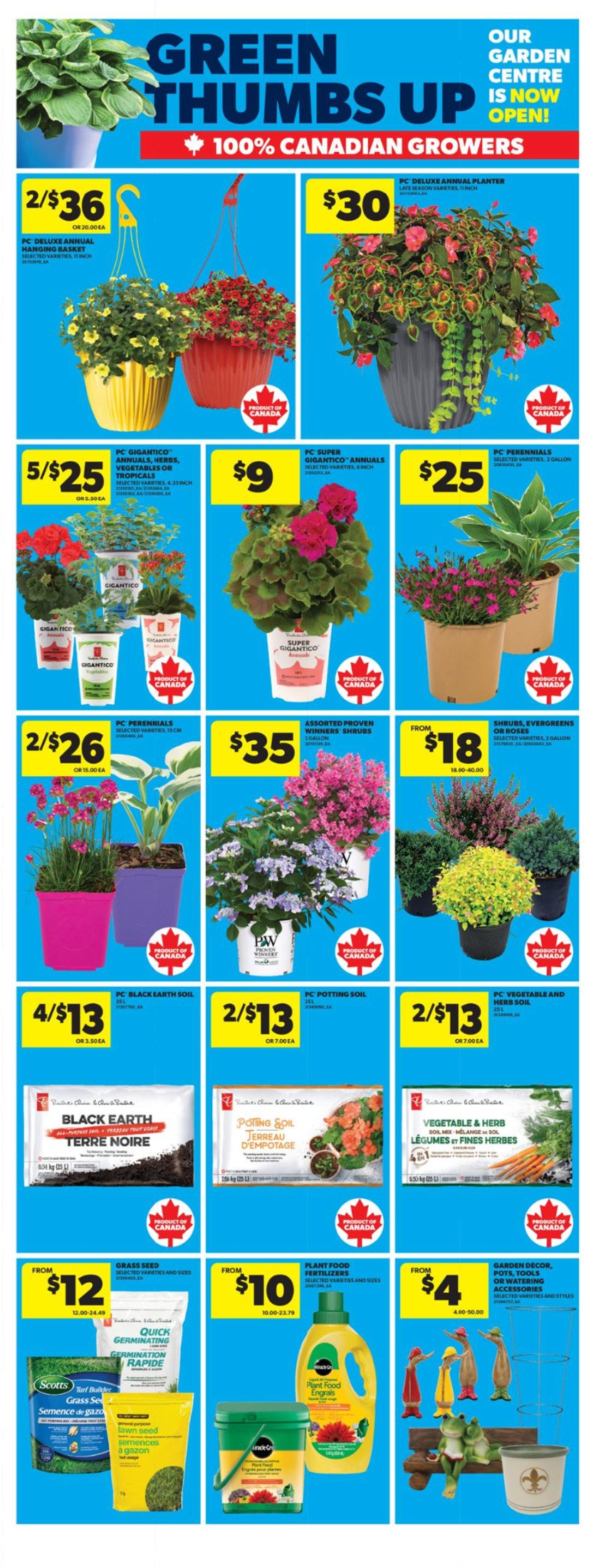 flyer-image