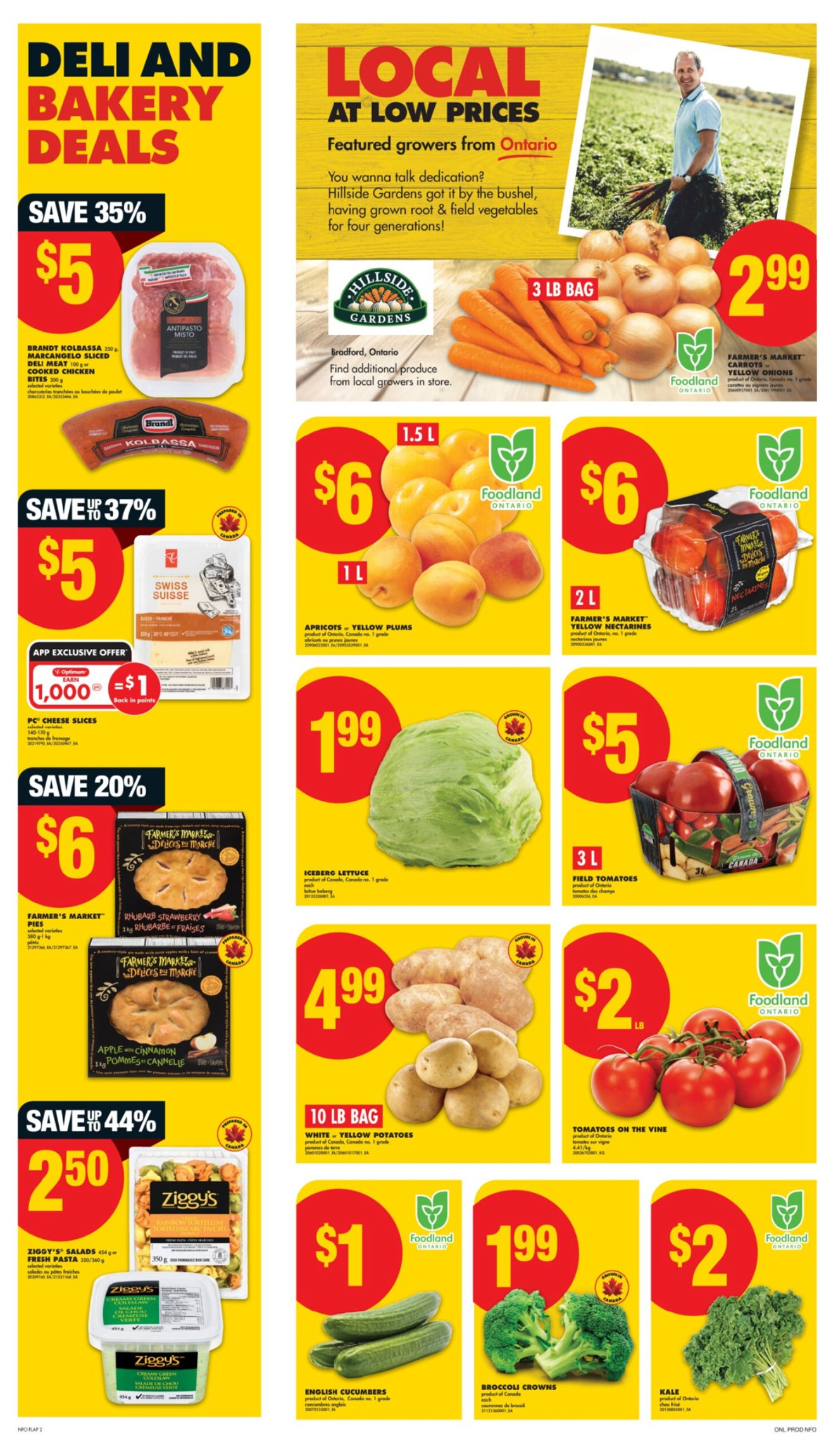 flyer-image