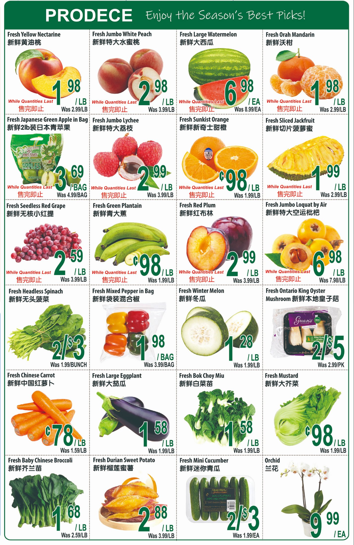 flyer-image