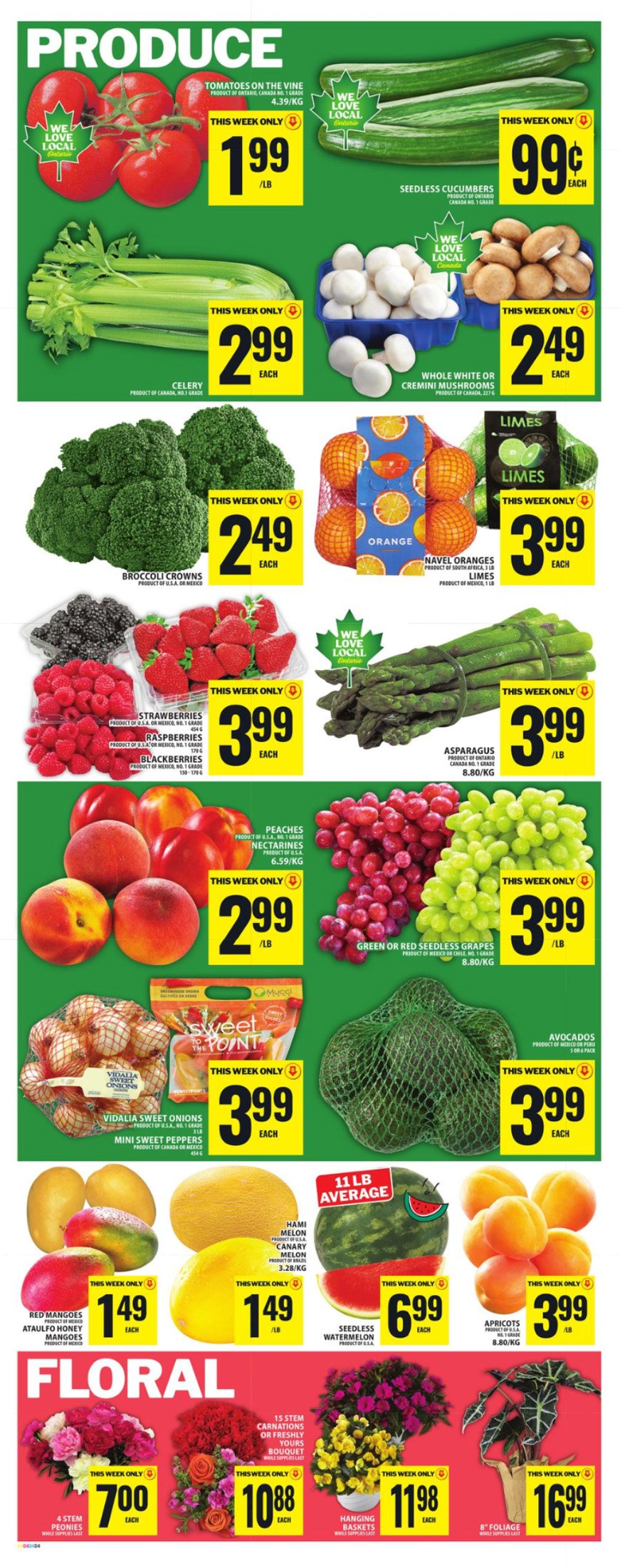 flyer-image