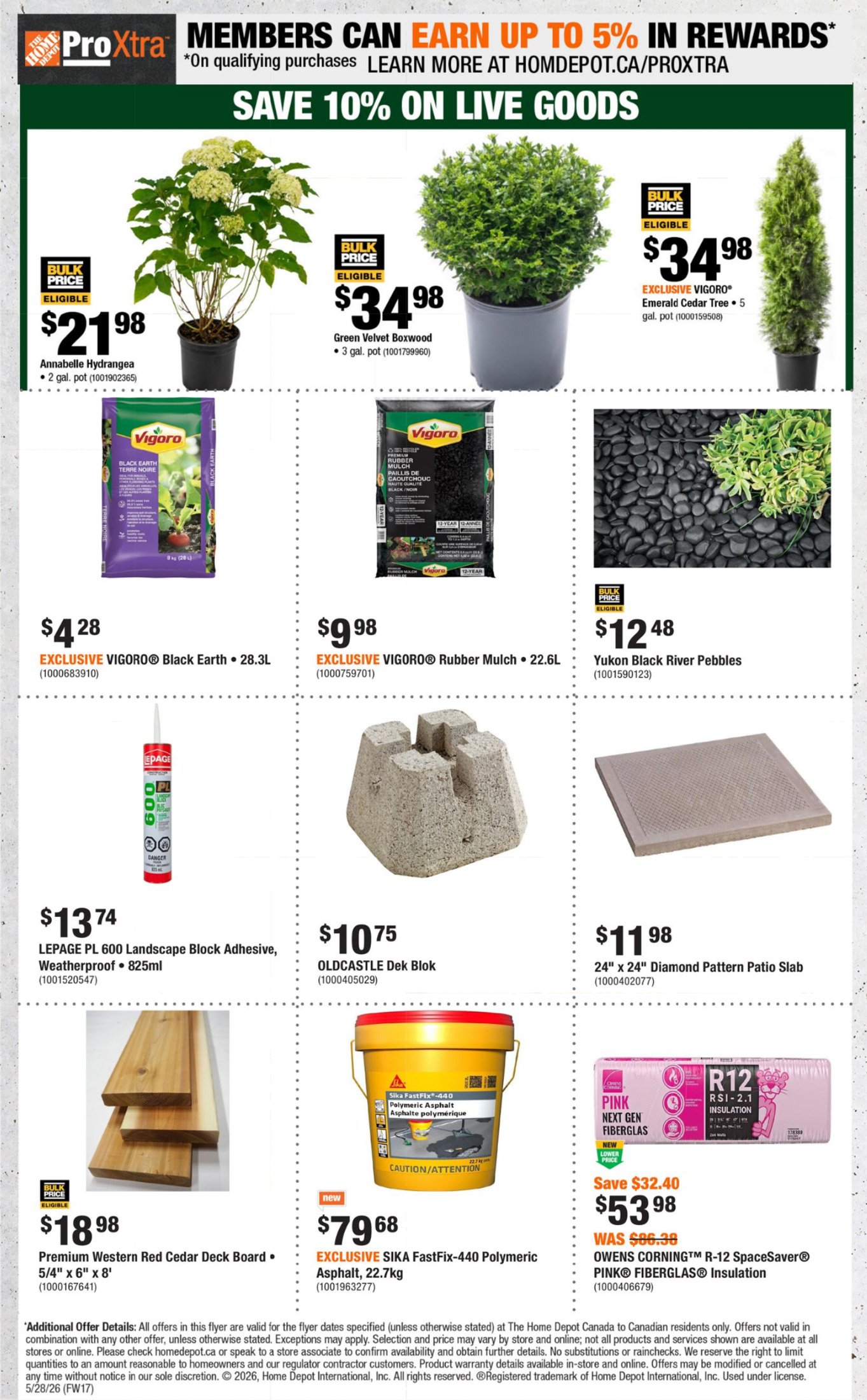 flyer-image