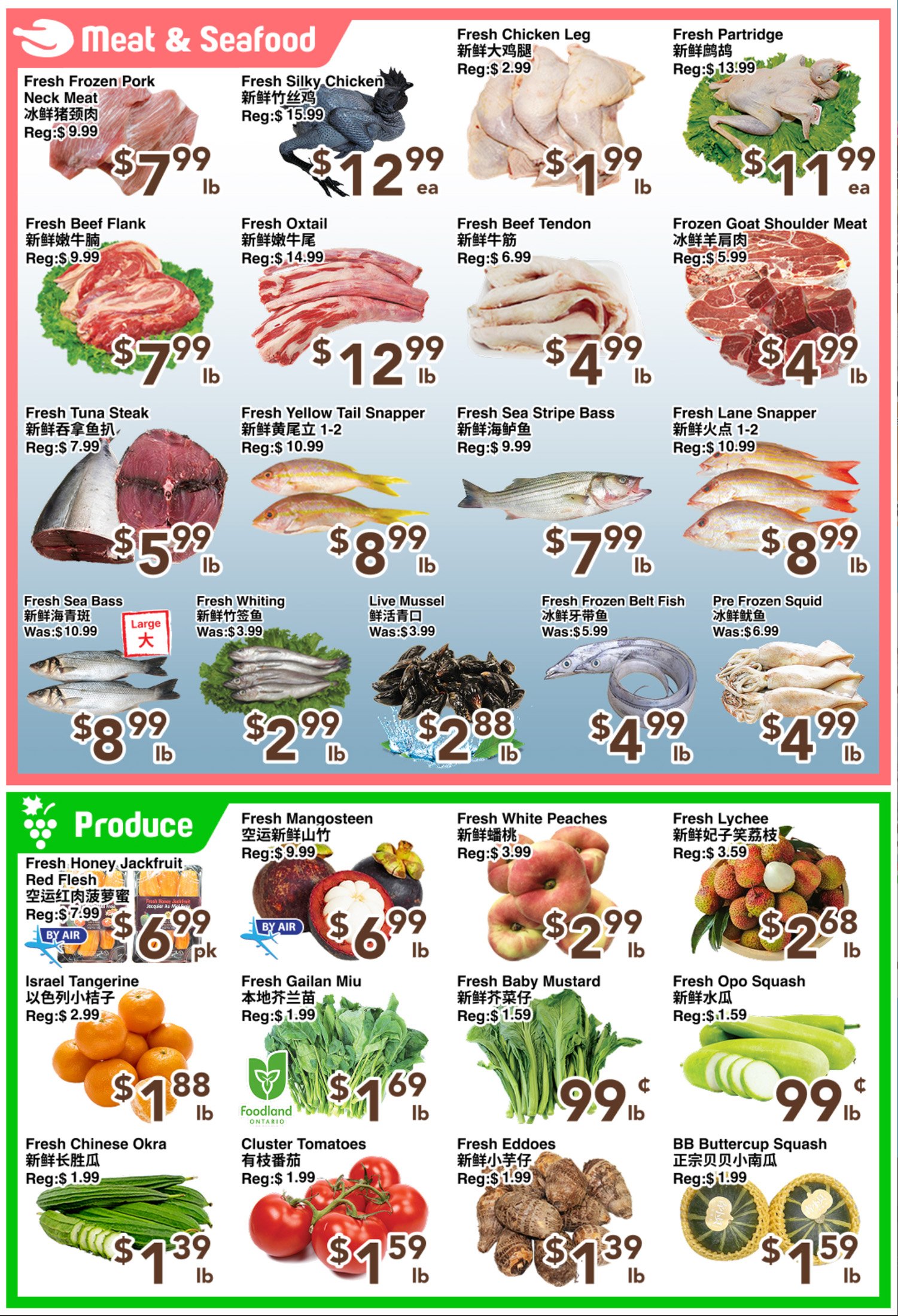 flyer-image