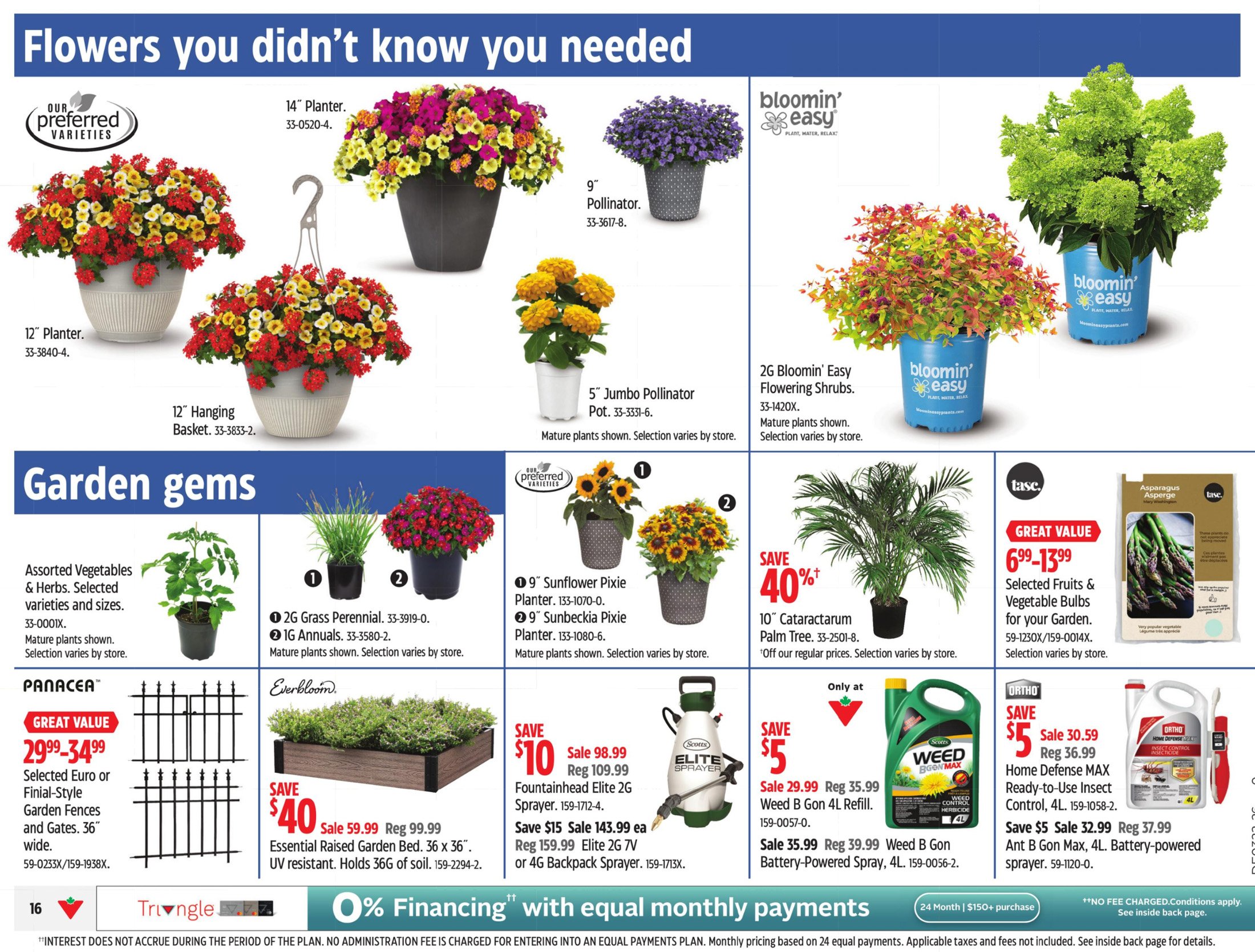 flyer-image