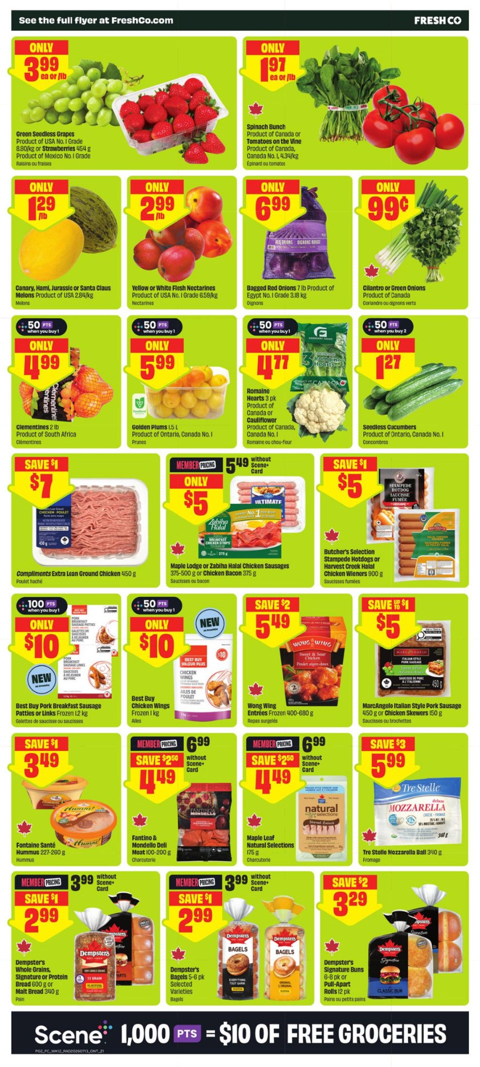 flyer-image
