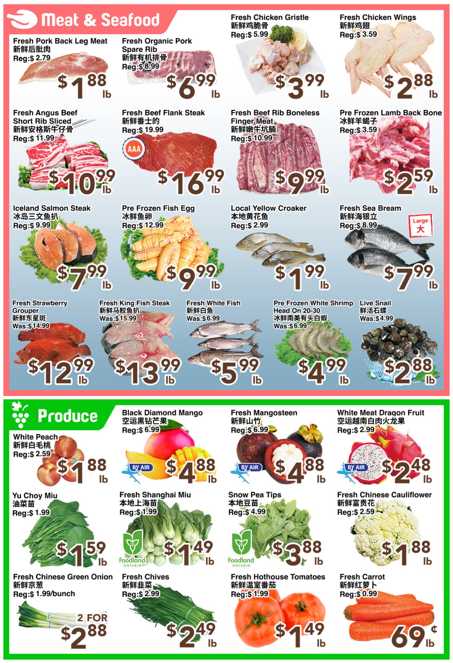 flyer-image