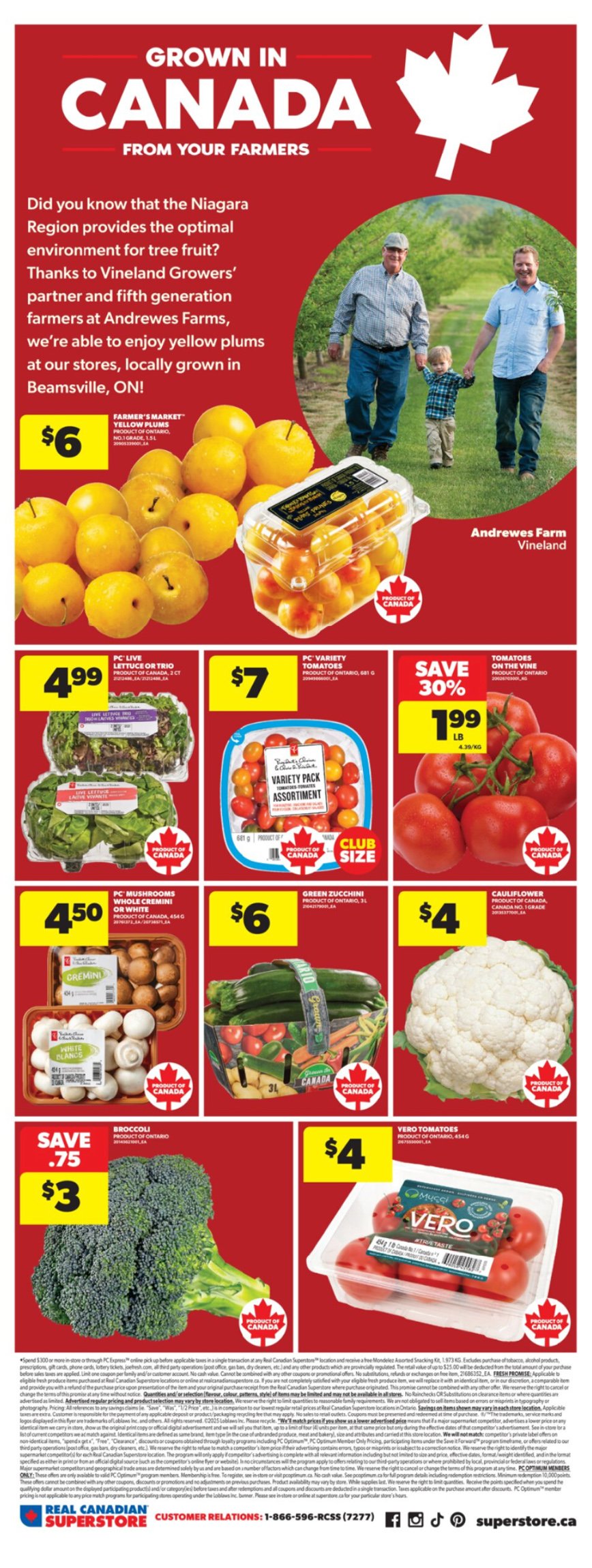 flyer-image
