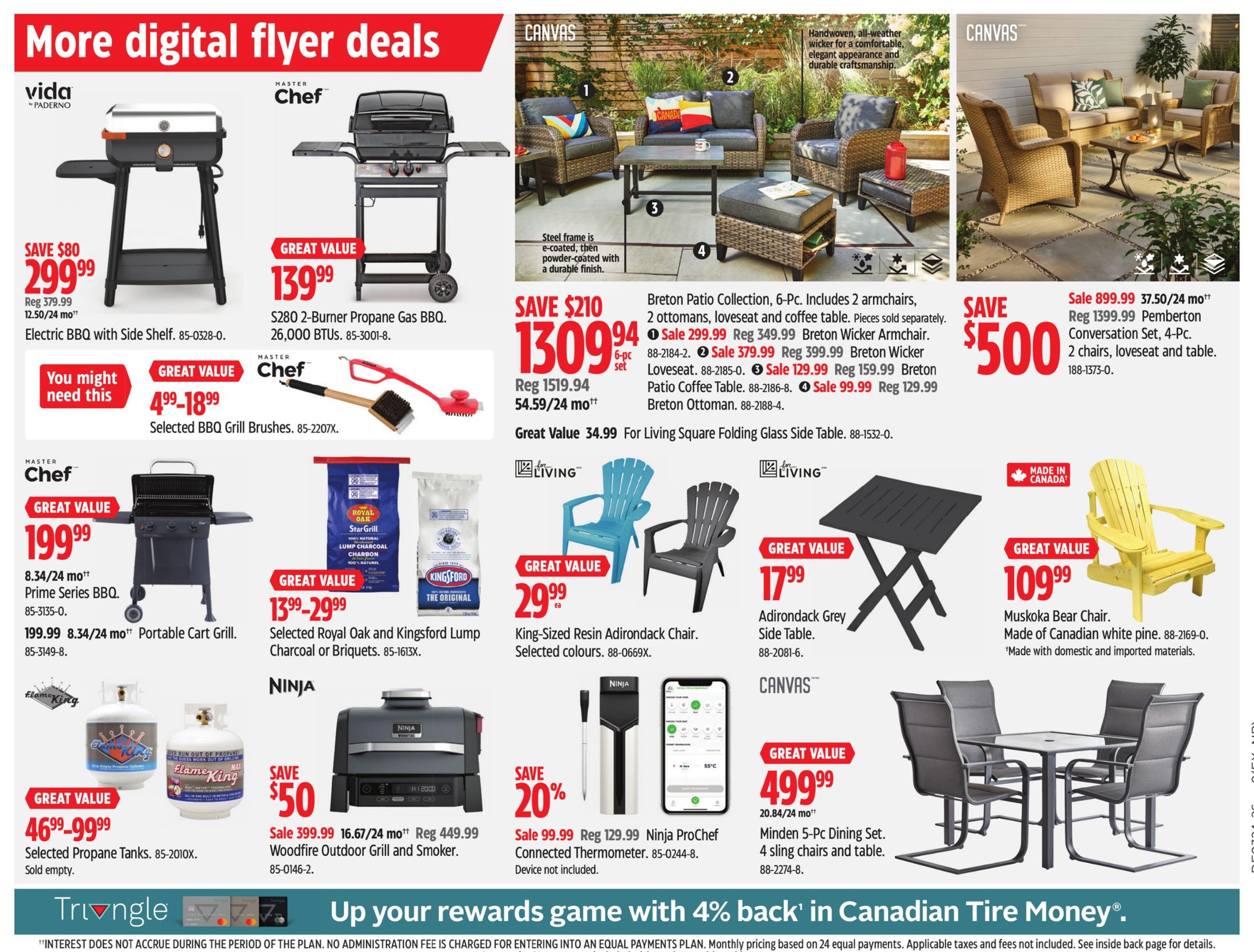 flyer-image