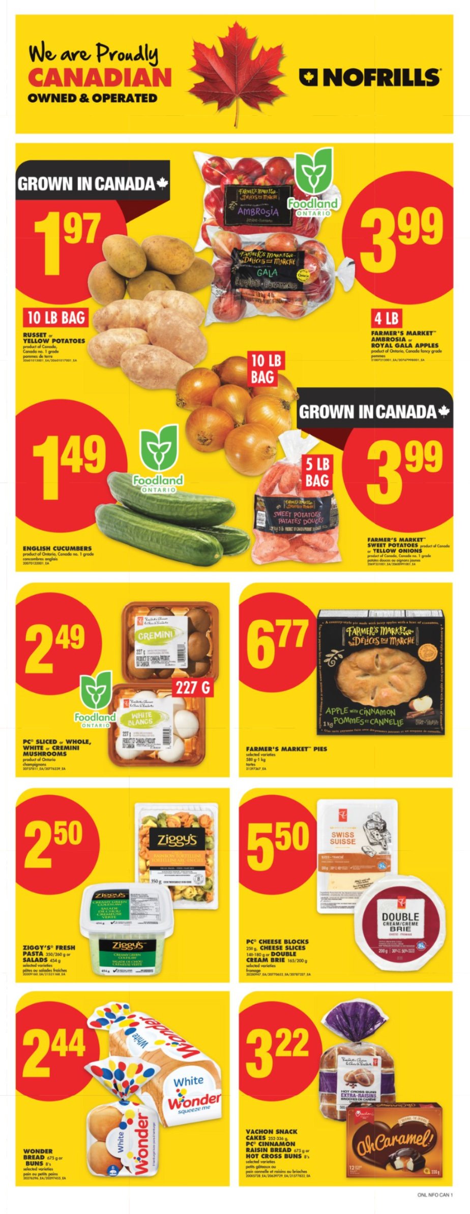 flyer-image