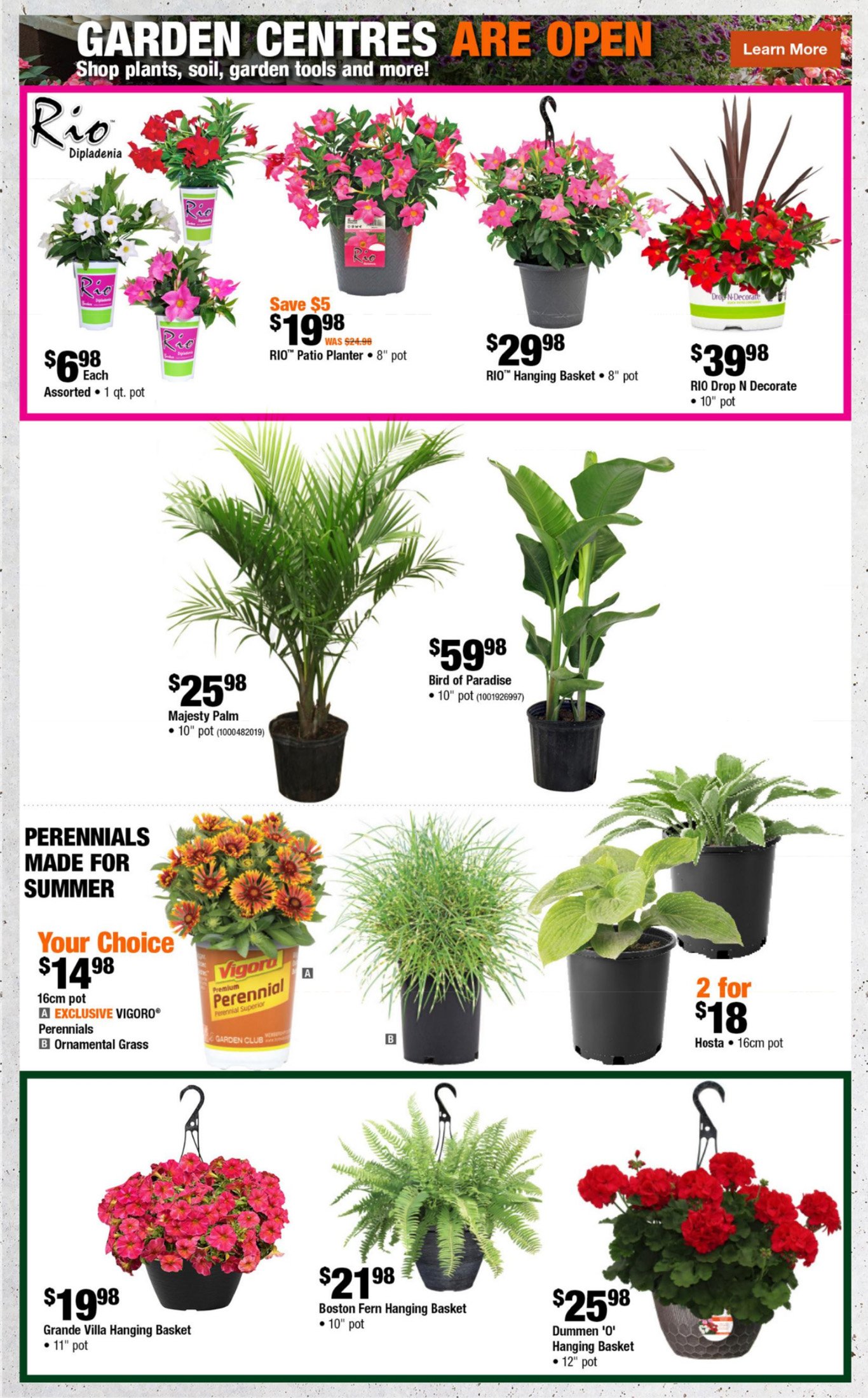 flyer-image
